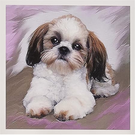 shih tzu items
