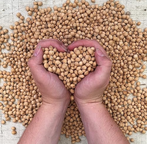 Miniatura 4 de Hot Cherry Pit Pillow Square  Terapia natural de calor húmedo o frío para dolor muscular, alivio de tensión, artritis, aromaterapia, apto para