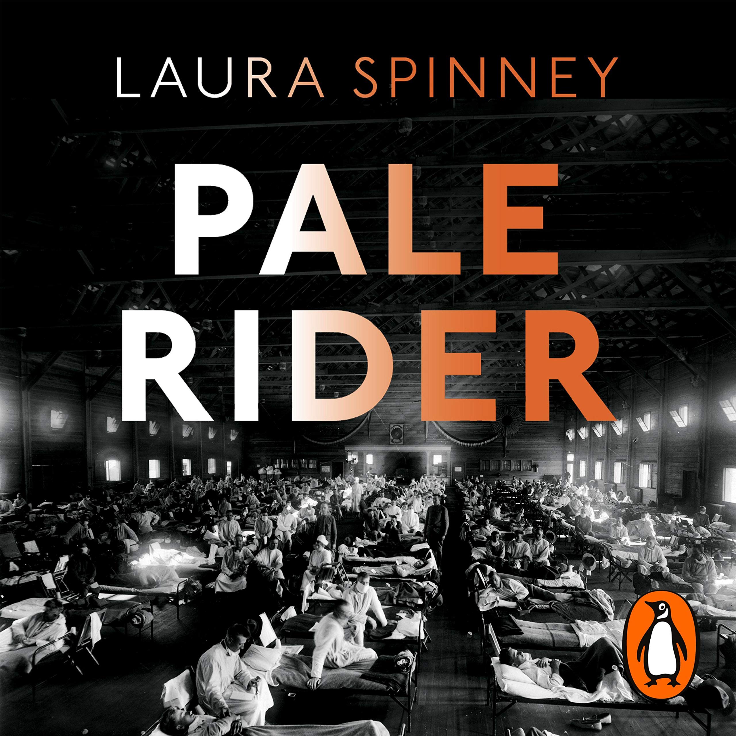Cover art for Pale Rider