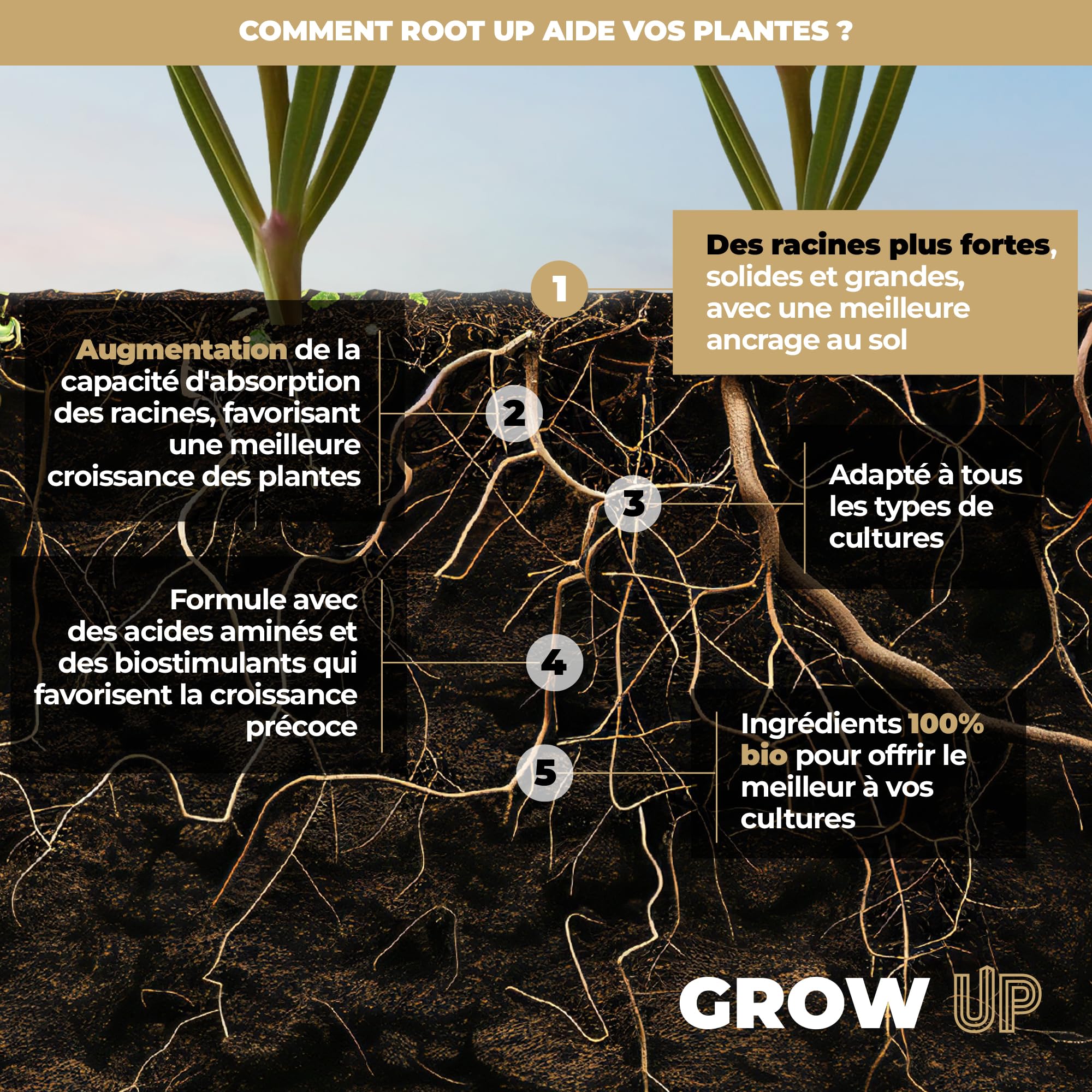 UP NUTRIENTS Bio Stimulateur de racines ROOT UP 1 L Engrais racinaire 100 % organique - Engrais activateur pour racines robustes, grandes et solides