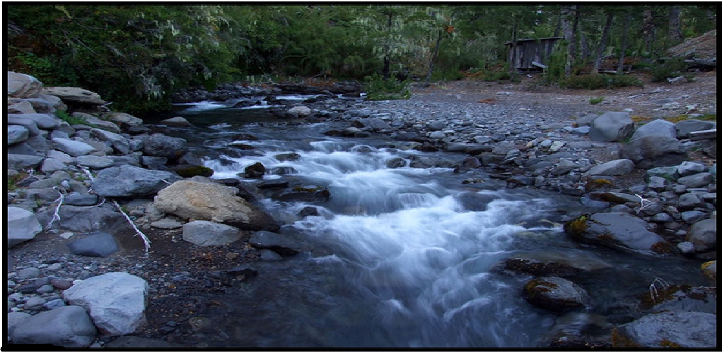 Natural Running Spring for Android