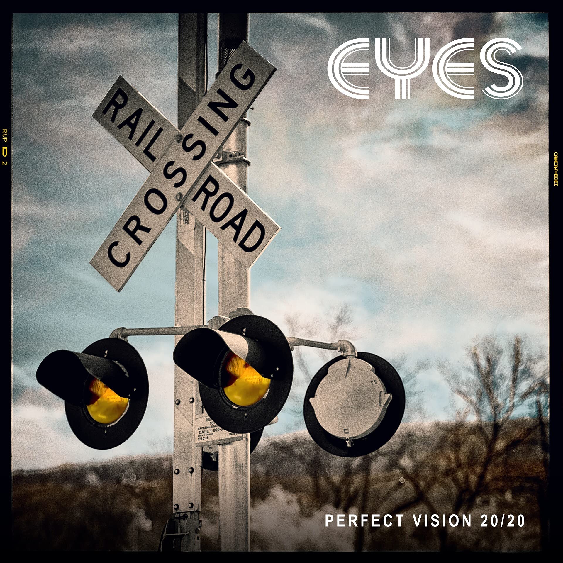 Vinyl Castle Perfect Vision 20/20