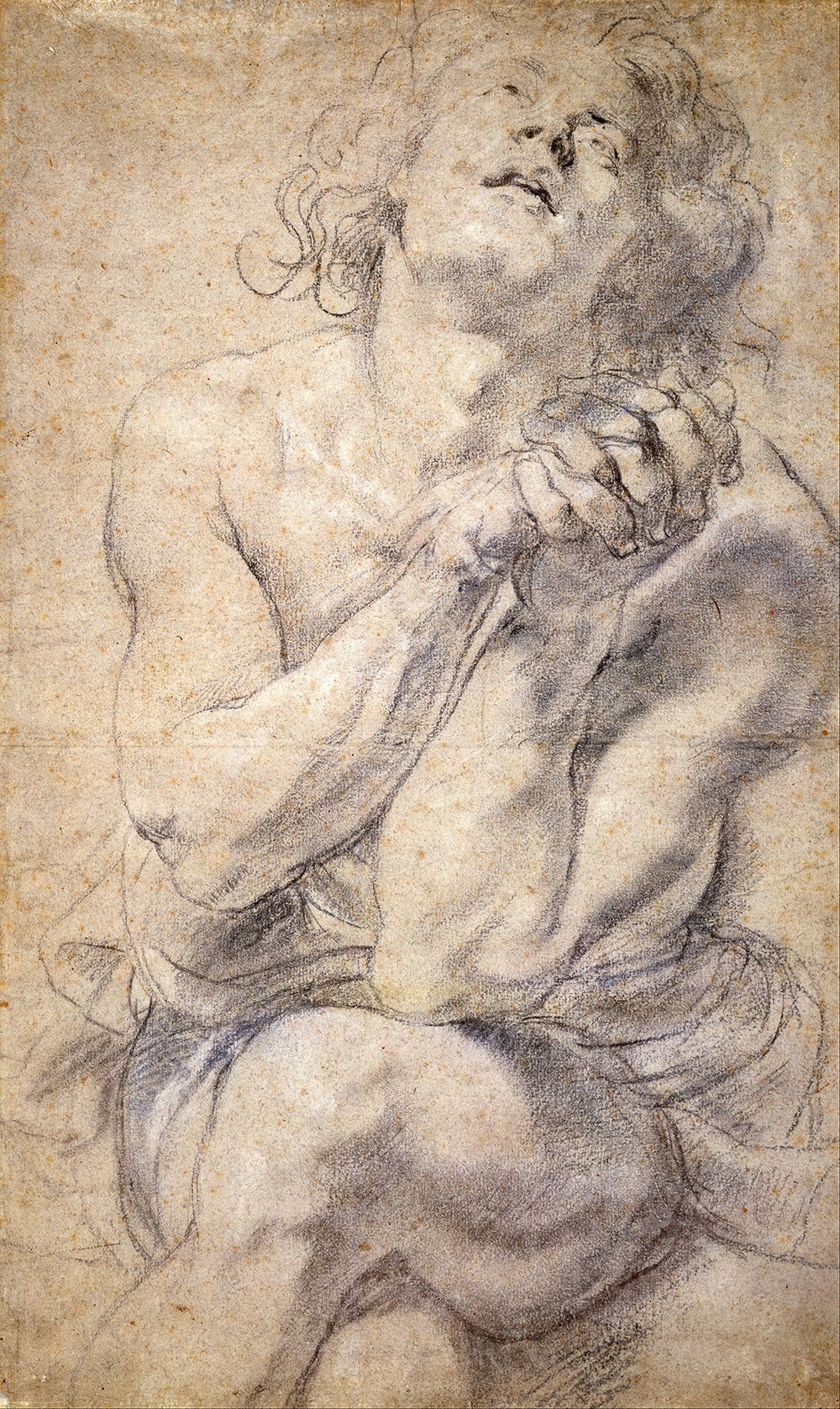 Impression Rubens Seated Male Youth affiche art grand format mat