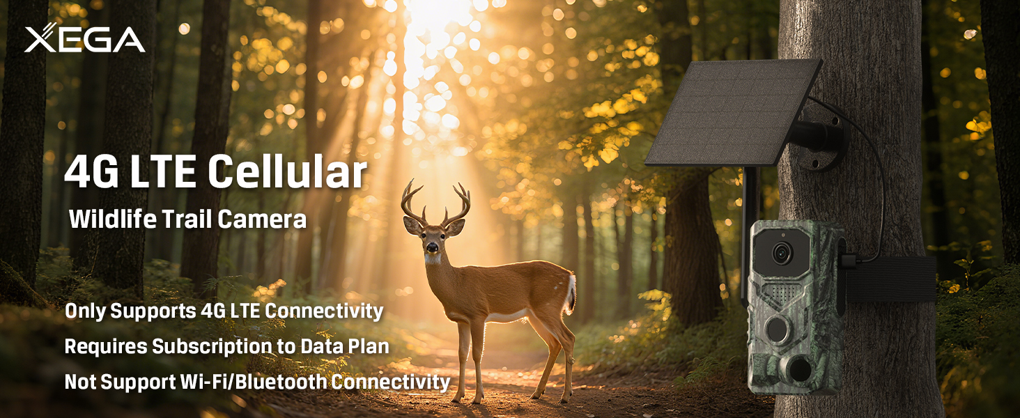 Xega 4G LTE bewakingscamera zonder wifi, binnen, met simkaart, 2K-accu