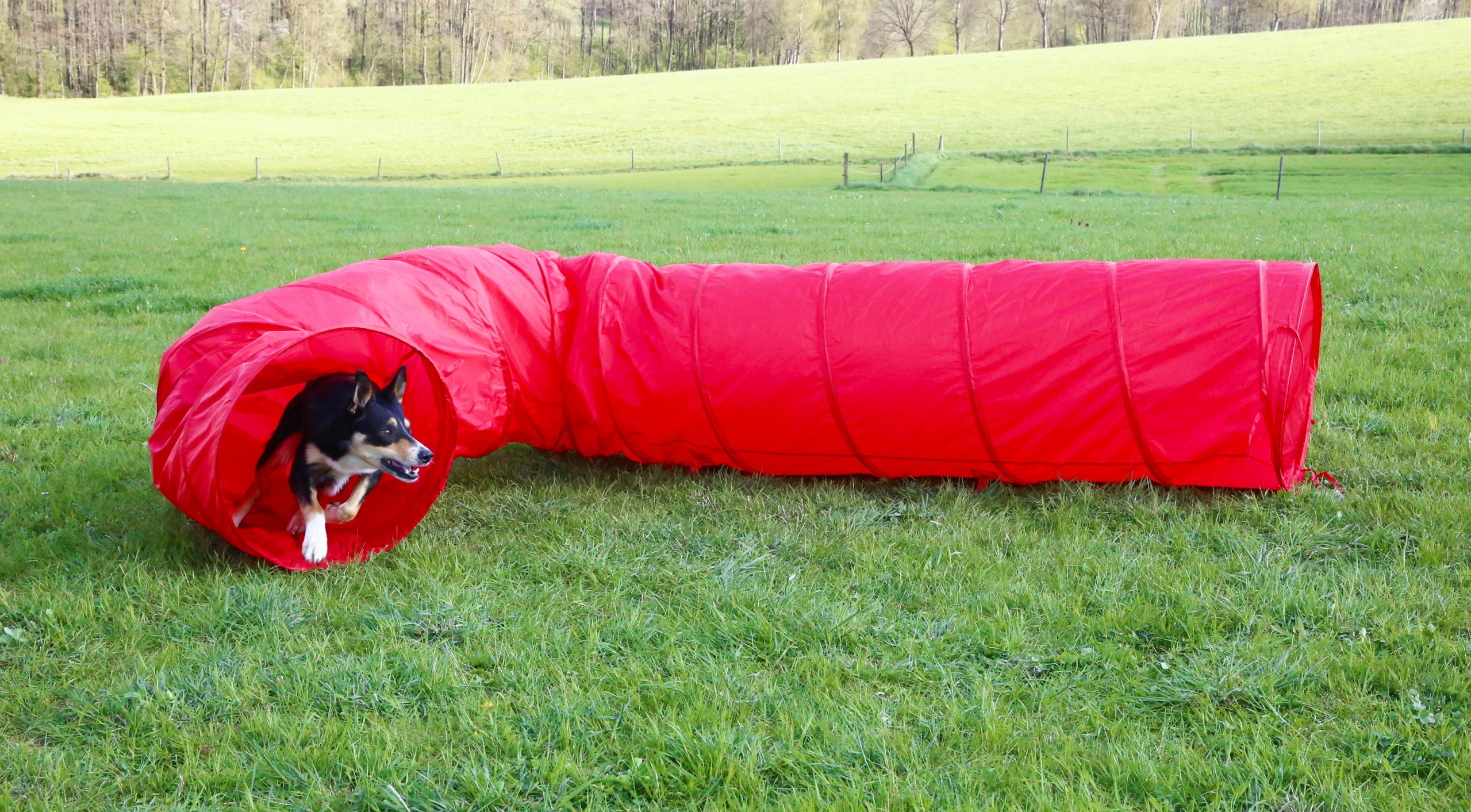 Kerbl Pet Tunnel Agility Rouge, Ø60cm, 5m