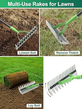 Thatch Rake, Garden Dethatcher Rakes for Lawns Heavy Duty, Metal Thatcher with Double-Sided Sharp Rake Head for Dead Grass Moss Remove, Loosen Soil, 53 Manual Thatching Tool for Gardening, Yard