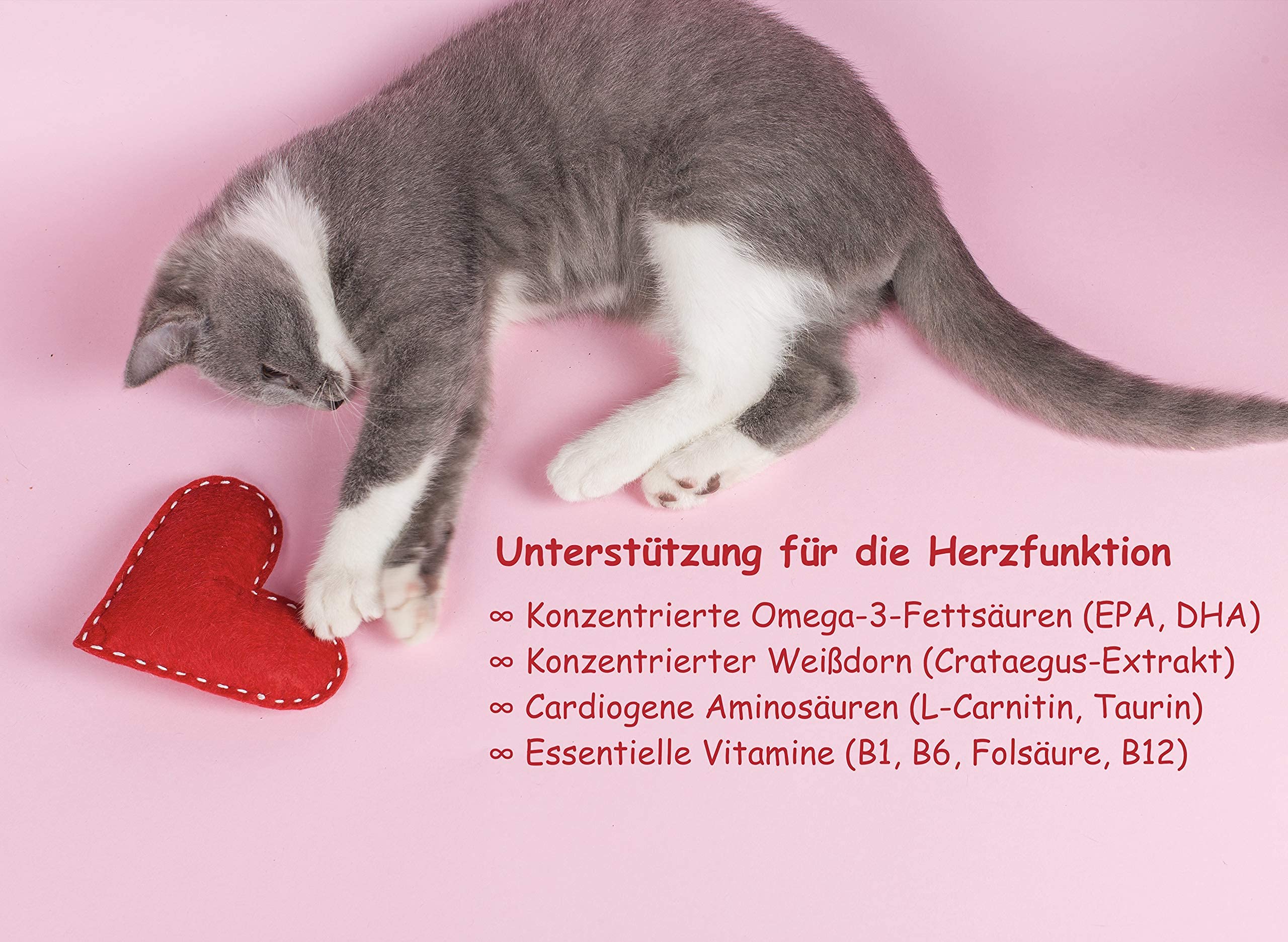 Cardio Herz-Liquid (60 ml) | unterstützt Herz, Blutdruck, Gerinnung und Kreislauf in einem Produkt | speziell für Katzen mit Omega-3 (EPA, DHA), Taurin, Carnitin, Crataegus