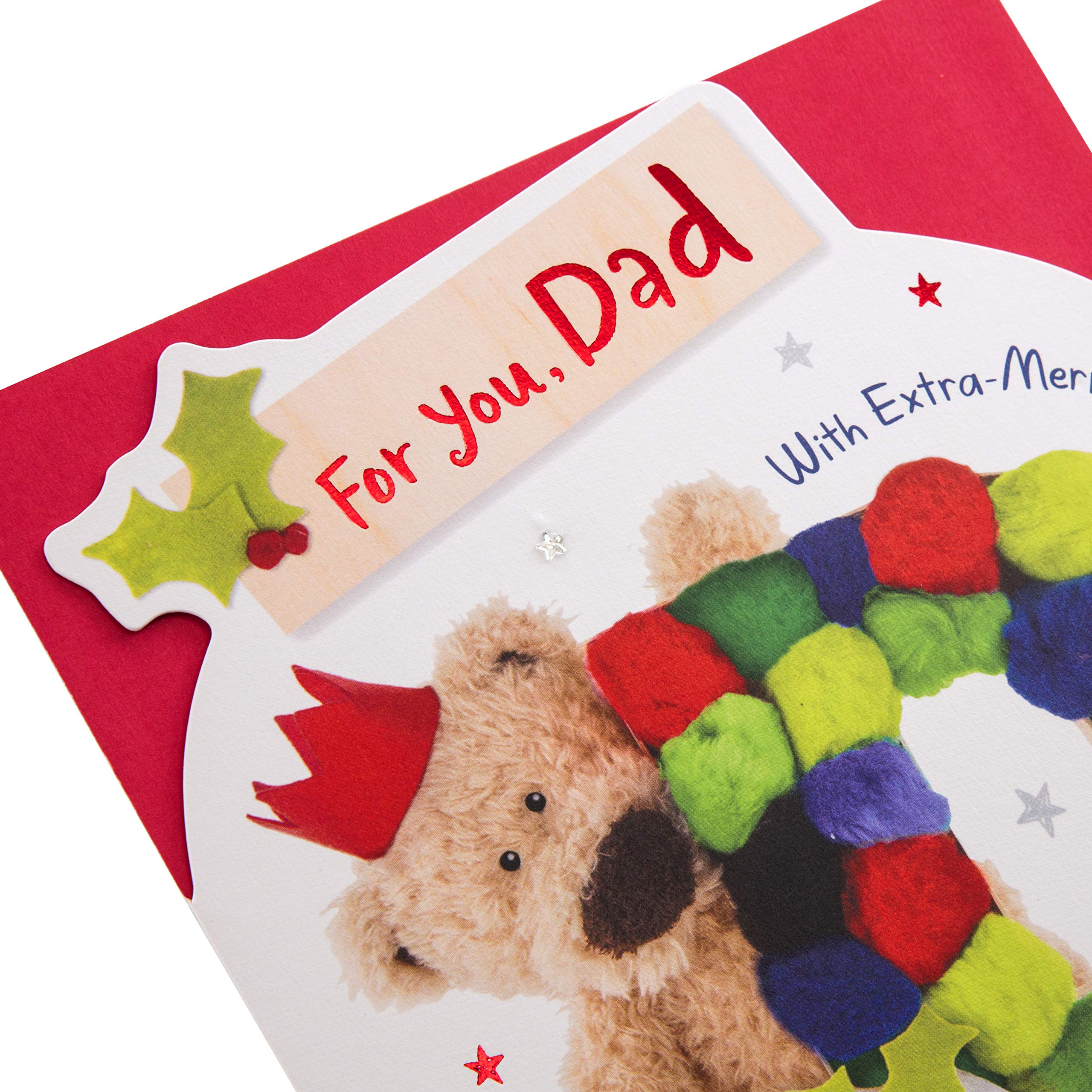 Hallmark Biglietto di auguri per la festa del papà divertente design