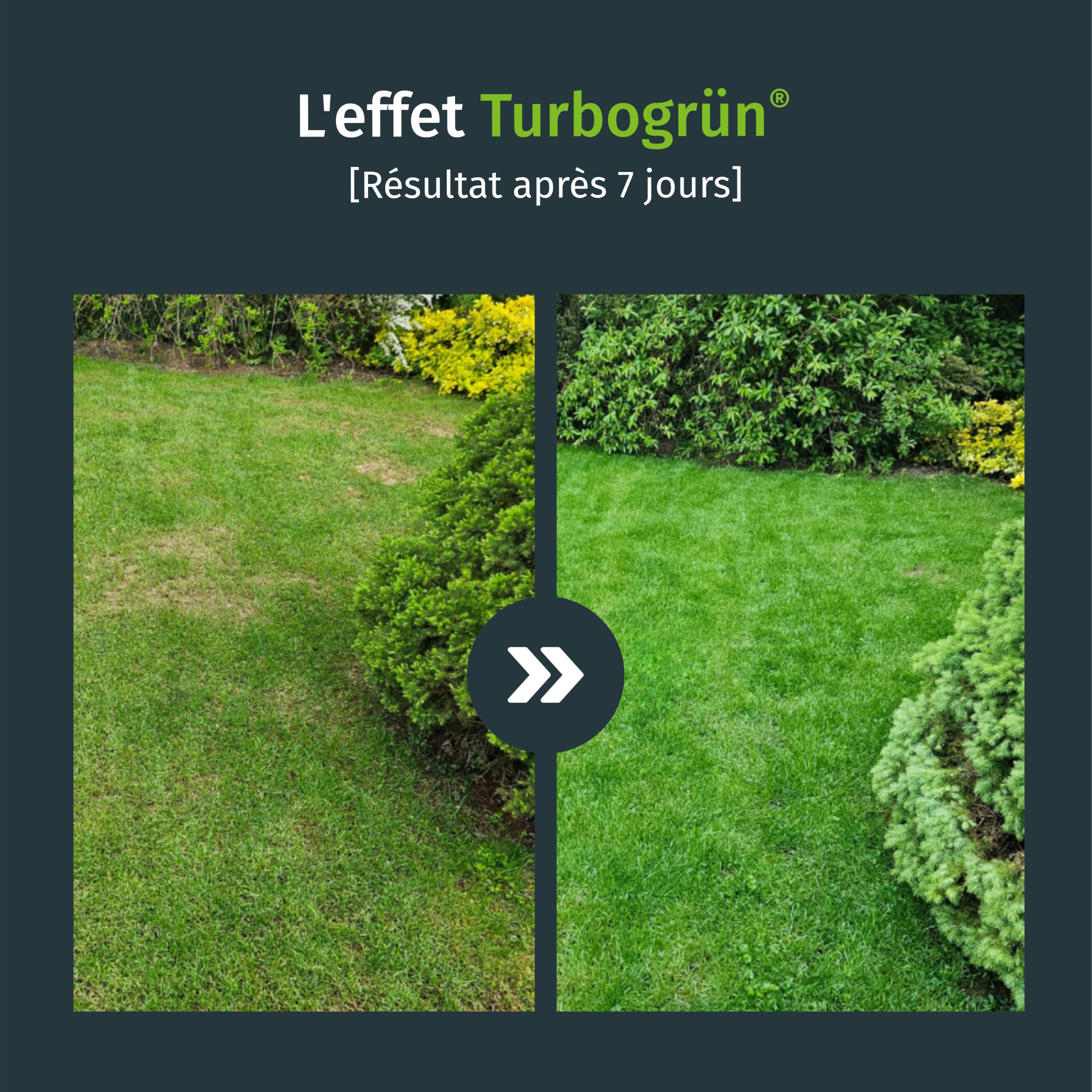 Turbogrün chaux gazon 18 kg pour 180 m², granulés anti-mousse et champignons