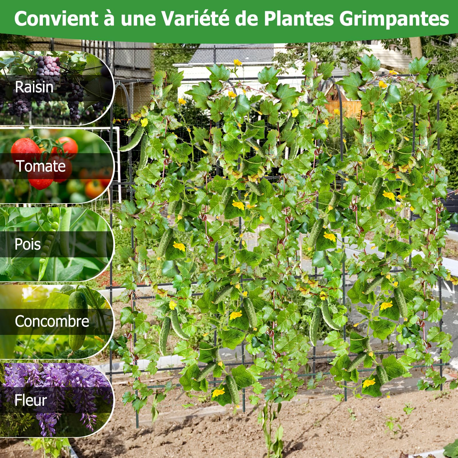 COSTWAY Treillis Arqué de Jardin pour Plantes Grimpantes 179 x 180 cm, Treillis en ‘U’ pour Jardin Surélevé avec Poteaux Métalliques, Cadre de Support pour Légumes Fruits Fleurs Vigne