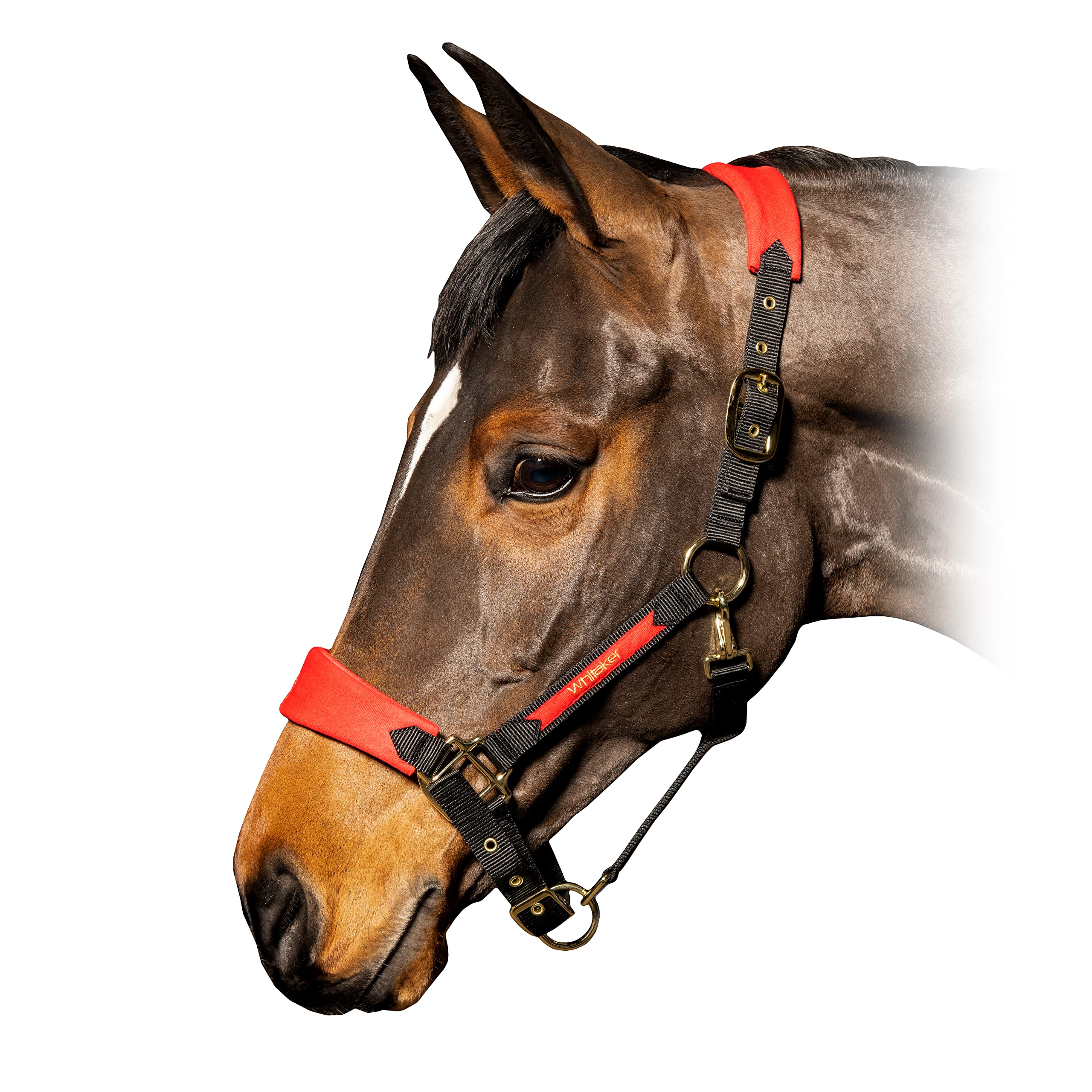 Whitaker Harewood Crest Headcollar