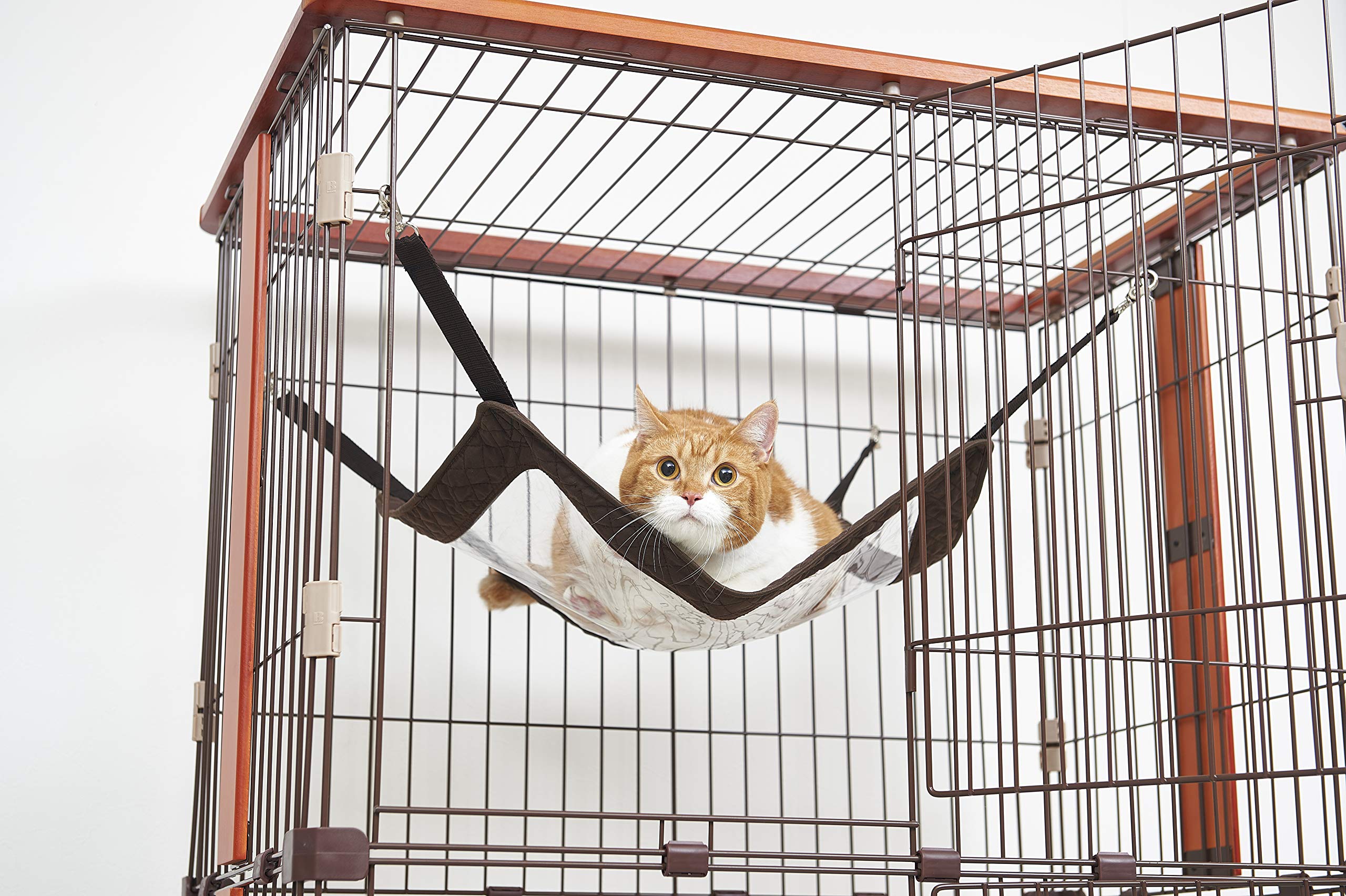 Amazon.co.jp: ボンビアルコン (Bonbi) ねこうらみえちゃうサークル