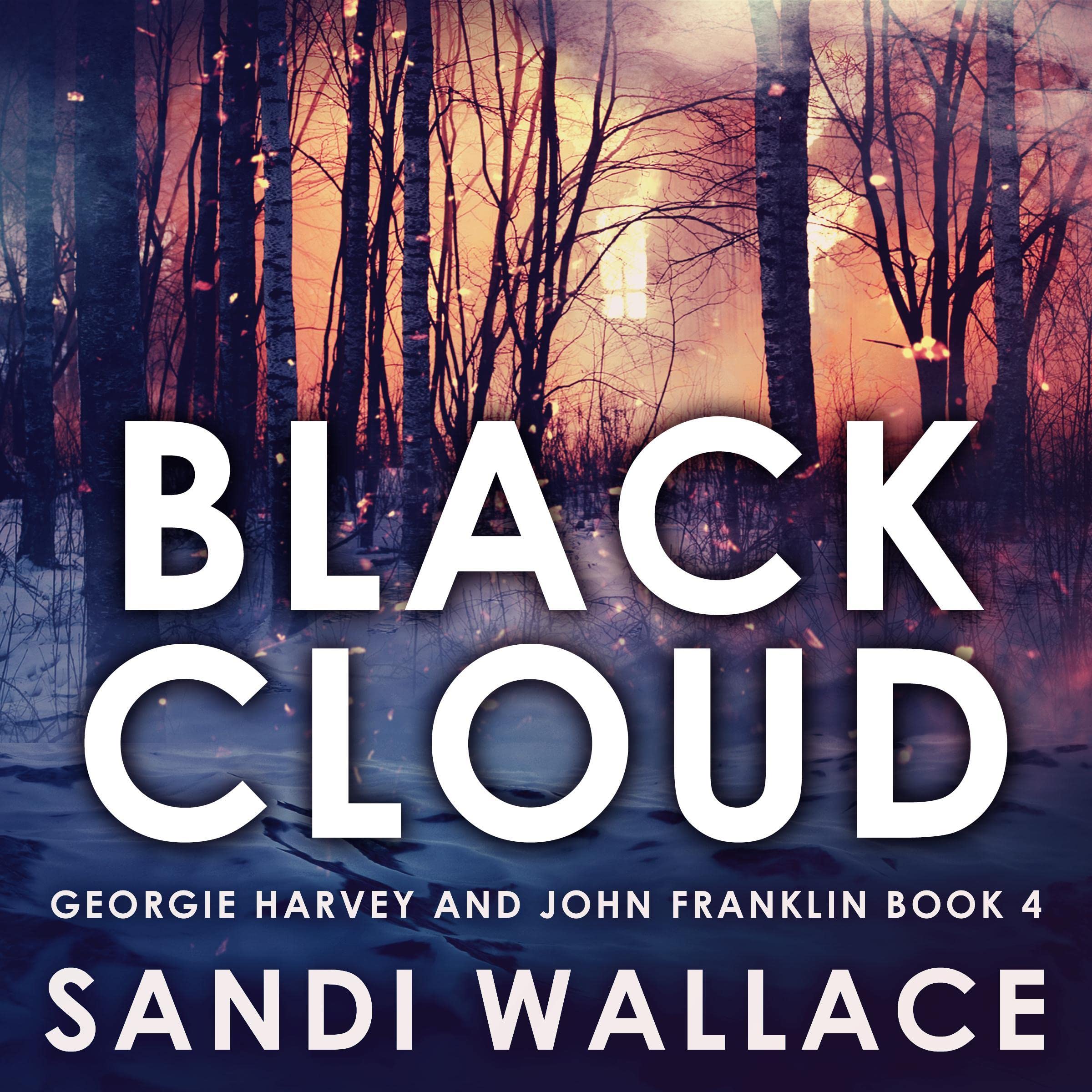 Cover art for Black Cloud