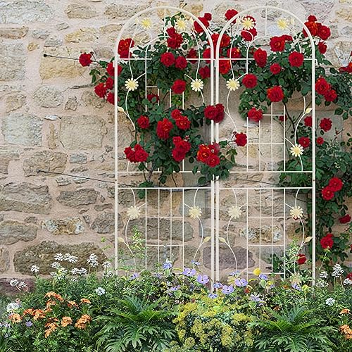 Miniatura 5 de LZRS Paquete de 2 enrejados de jardín de arco rústico de 71 x 20 pulgadas con revestimiento de metal negro, perfecto para apoyar plantas trepadoras