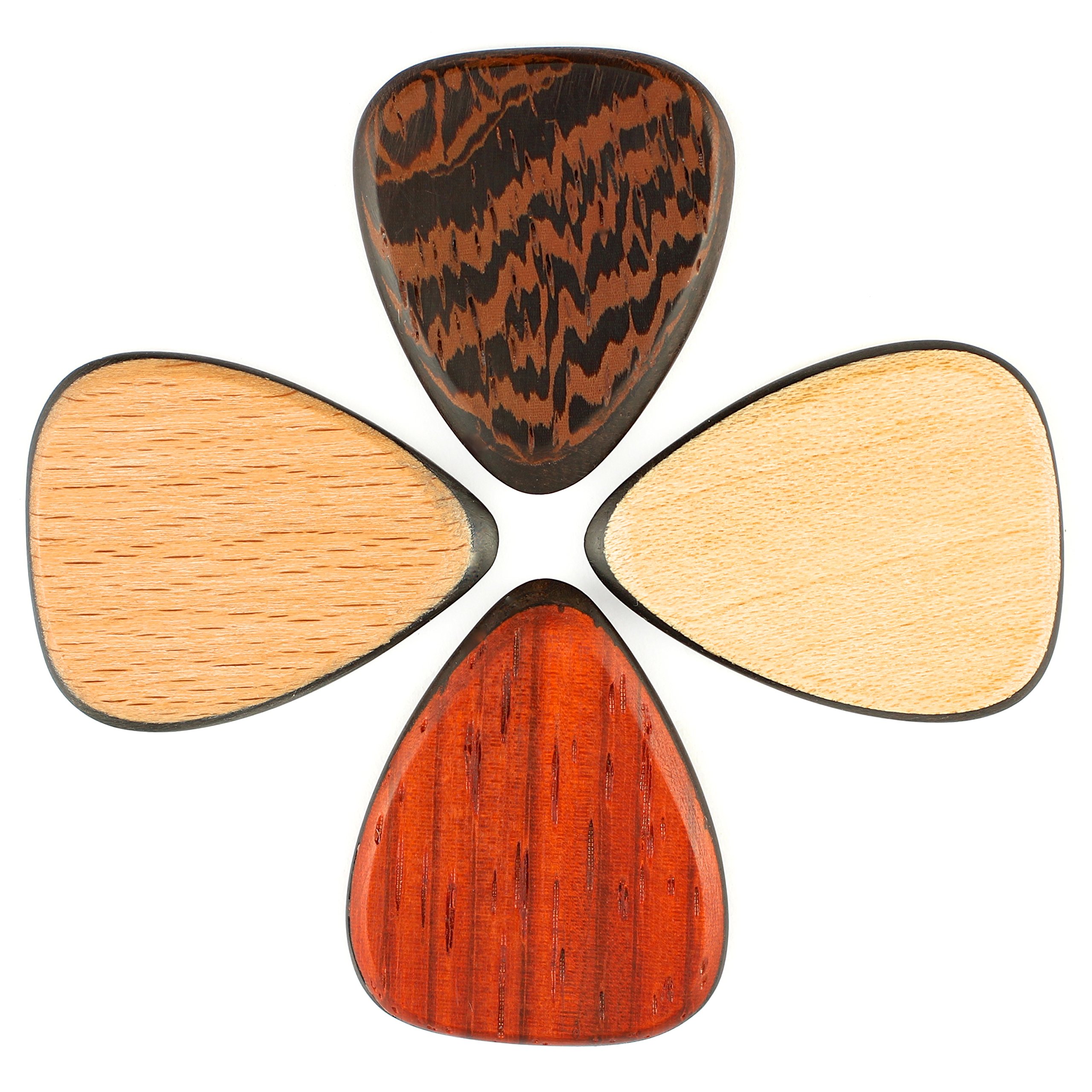 Timber Tones Shell Tones - Confezione di 4 plettri in contenitore di latta, motivi vari