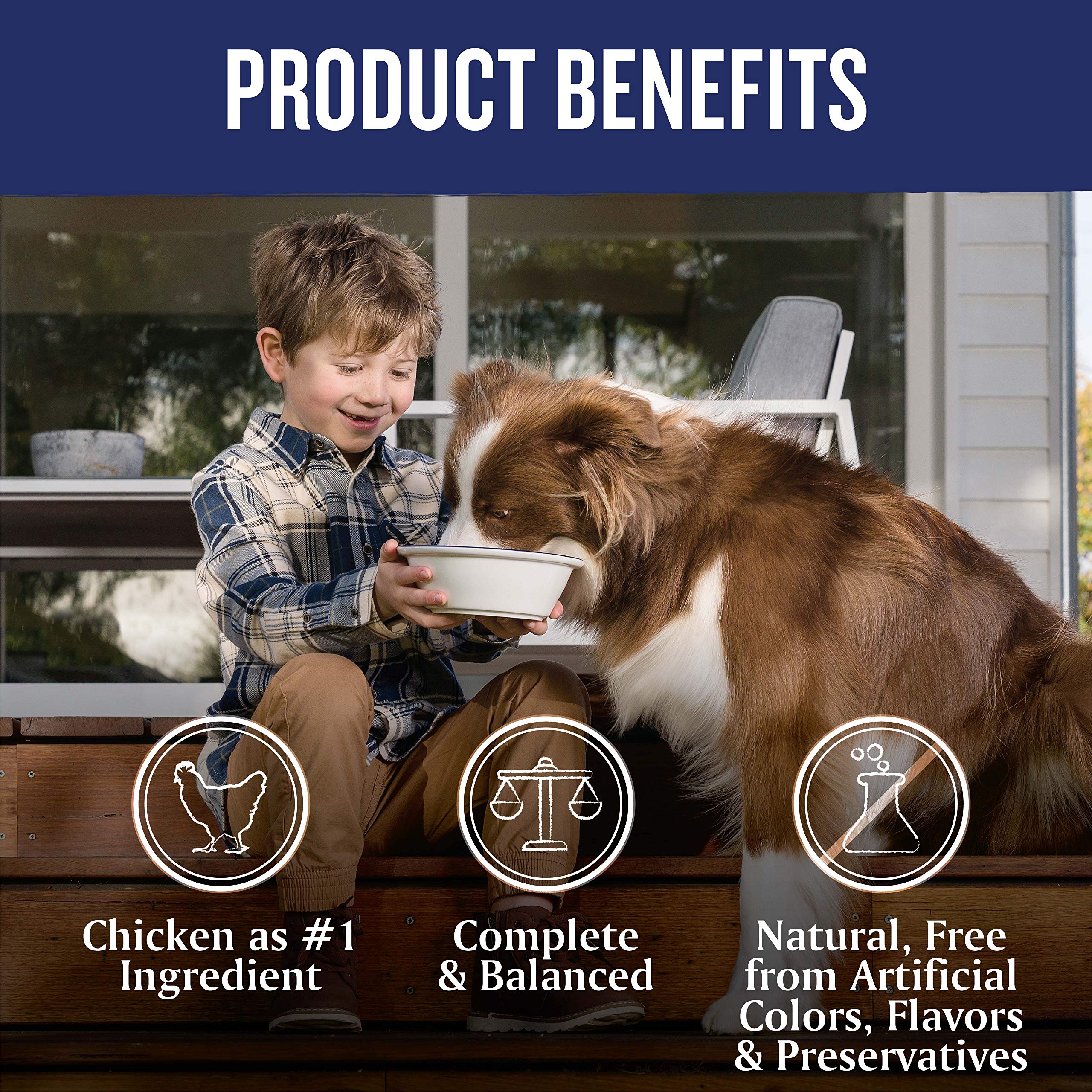farmers market wet dog food