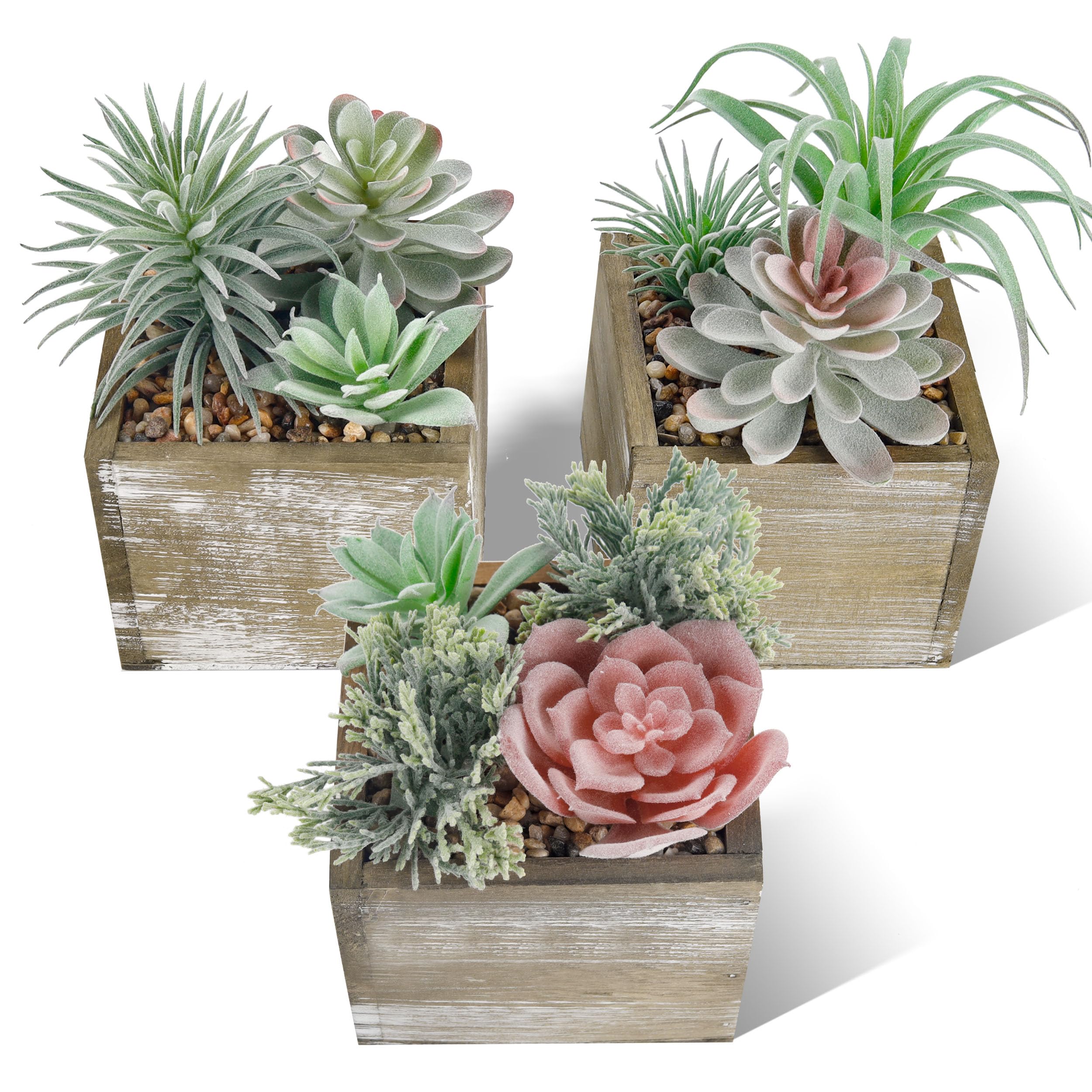 Der Rose Set of 3 Succulents Plants Artificial