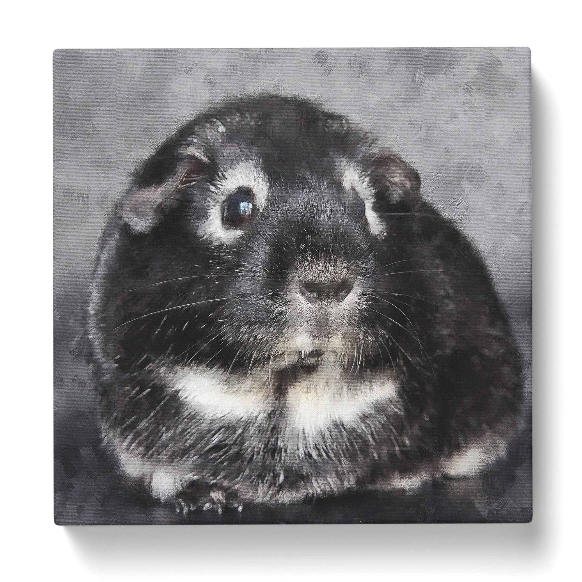 Guinea Pig Canvas Print, Mixed, 35L x 35W cm - Image 3