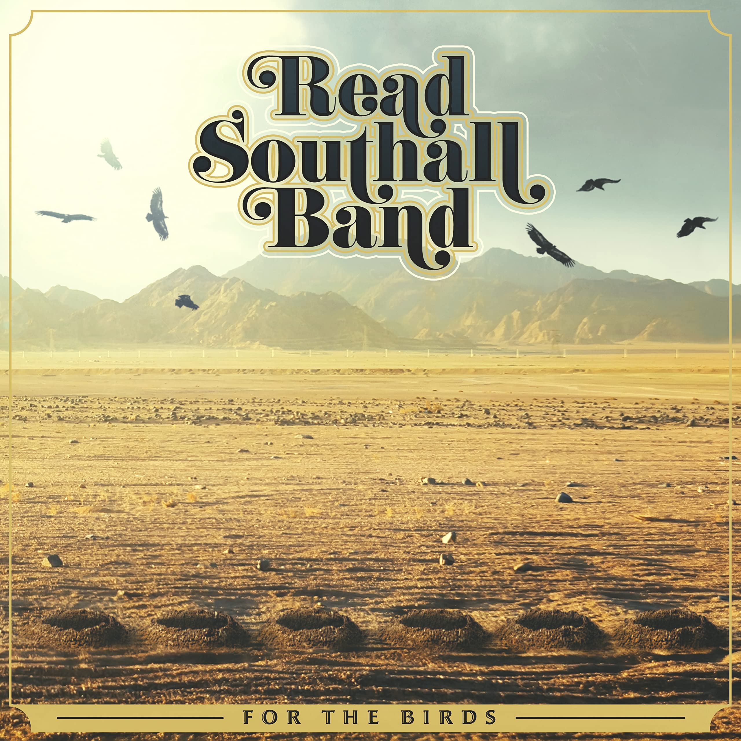 For The Birds [VINYL]