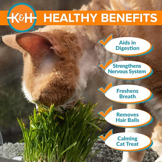 K&H Pet Products EZ Mount Cat Grass Growing Station with 1 Refill & Comfort Zone 60 Day Multi-Cat Calming Diffuser Starter Kit with 2 Refills