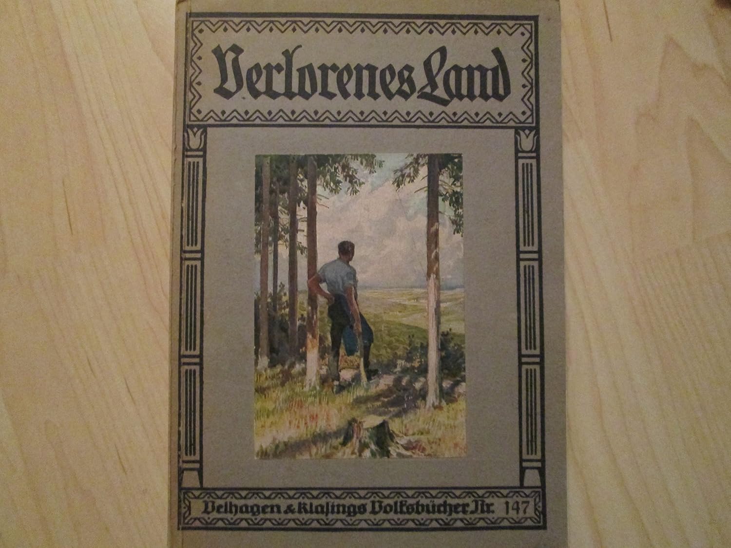 Verlorenes Land deutsches Land. Eine Sammlung von Blättern der