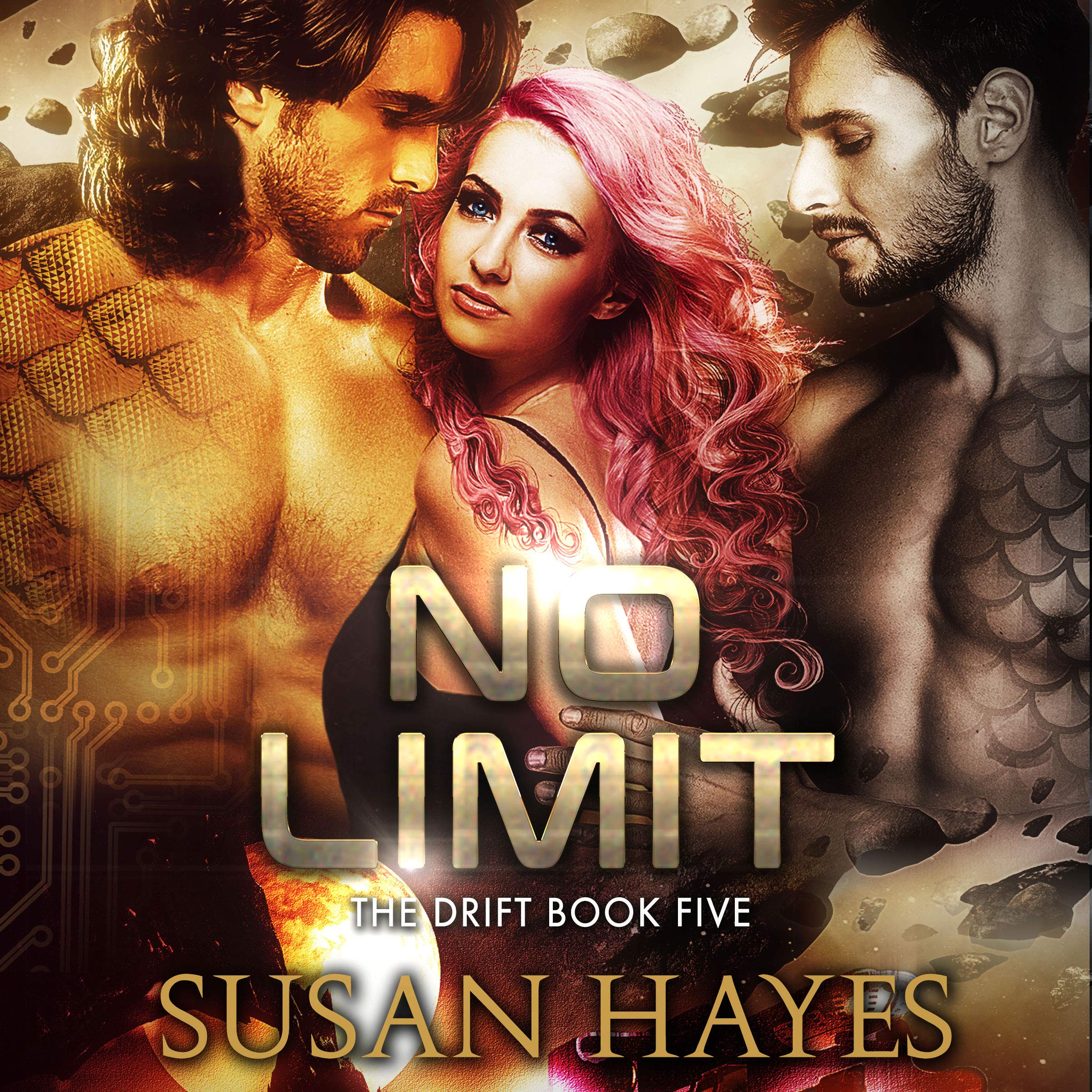 Cover art for No Limit