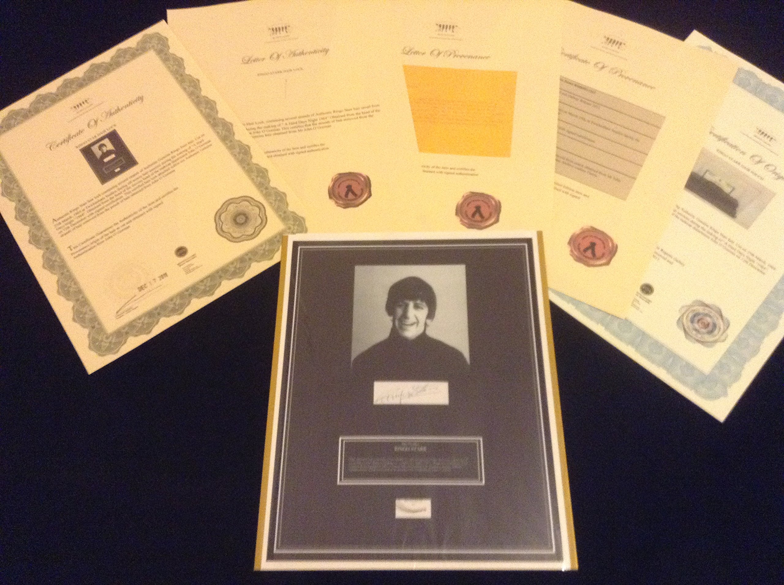 Ringo Starr Hair Display Piece