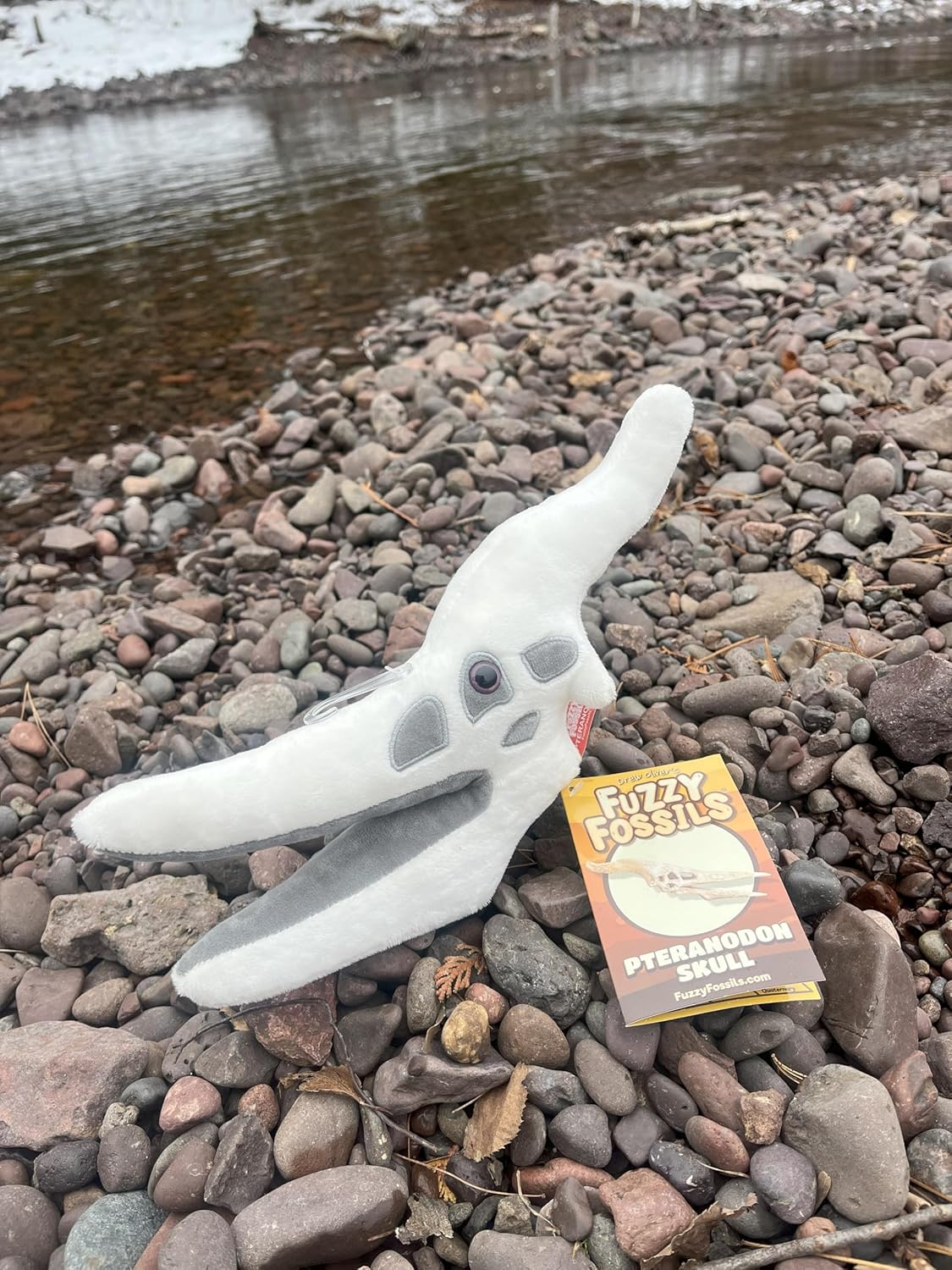Fuzzy Fossils Pteranodon Plush, Dinosaur Stuffed Animal, Pteranodon Toy, Dinosaur Skull Decor, Paleontologist Gifts