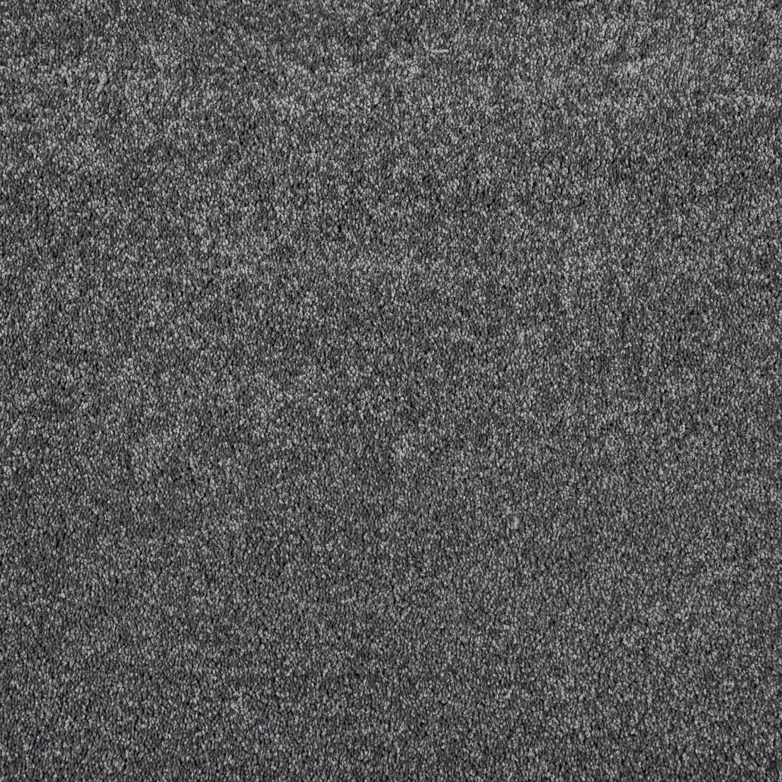 Alberta Saxony Carpet Action Backed Stain Resistant Polyester Carpet (Charcoal - 4m x 5.5m)