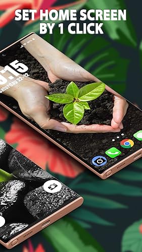 Plants Wallpapers