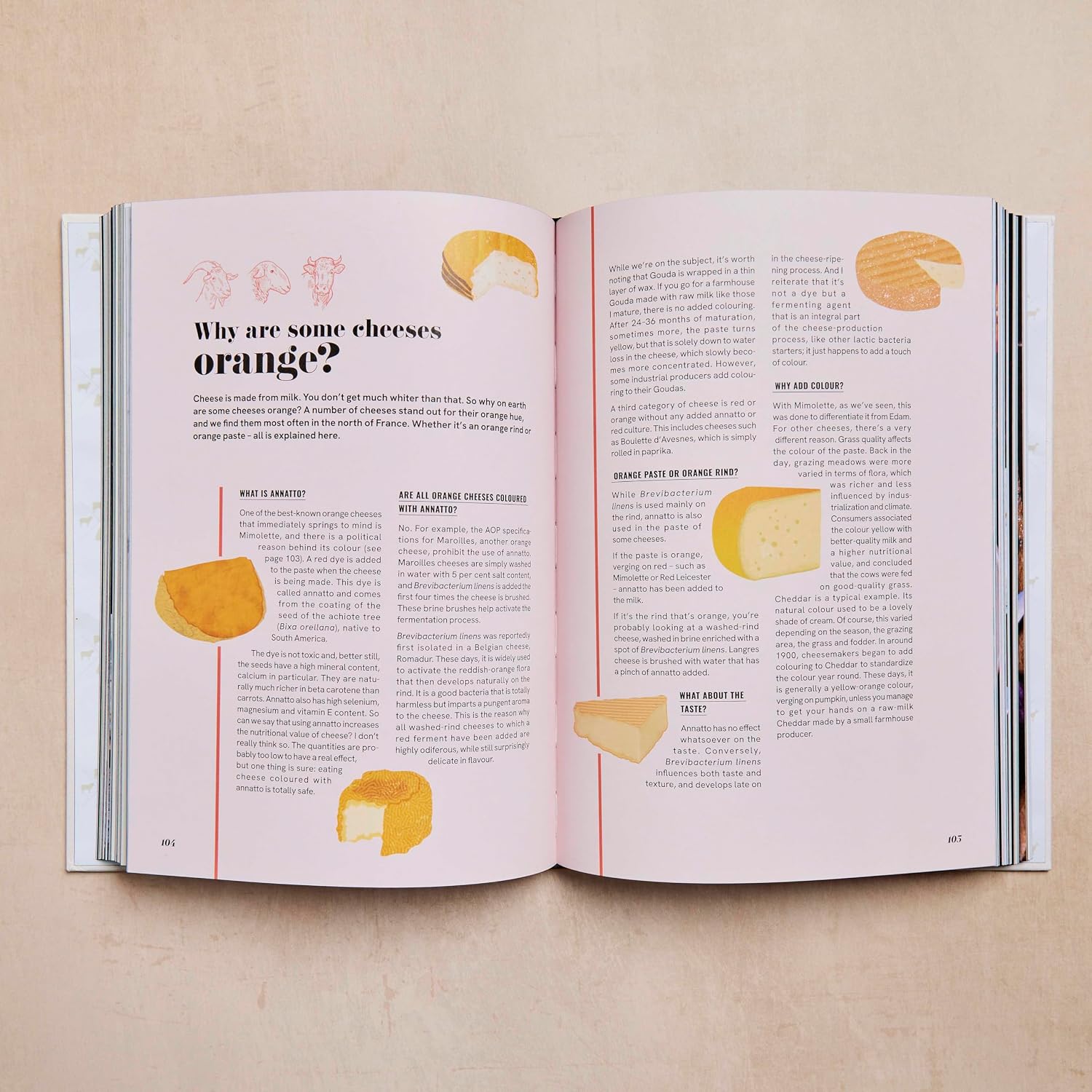 The Fromagerie: Secrets and Recipes from a Swiss Cheesemaker