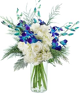 KaBloom Flowers - Moonlight Orchids Bouquet - Gift for Birthday, Sympathy, Anniversary, Get Well, Thank You, Valentine, Mother’s Day Fresh Flowers