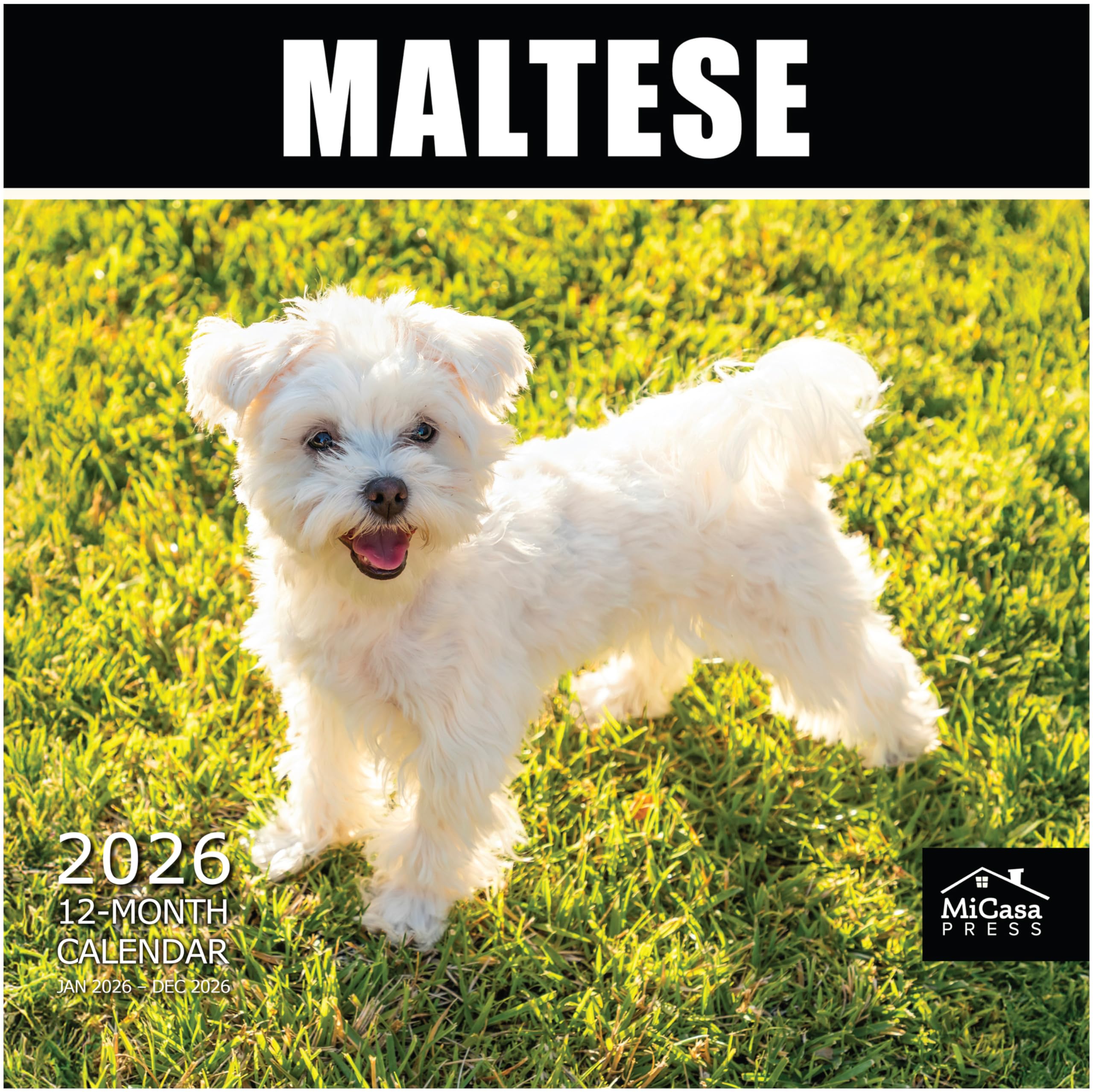 MICASA PRESS Maltese 2026 Wall Calendar 12 Month | 12" x 24" Open | Thick &amp; Sturdy Paper | Giftable | Cute Puppy Dog Calendar 2026