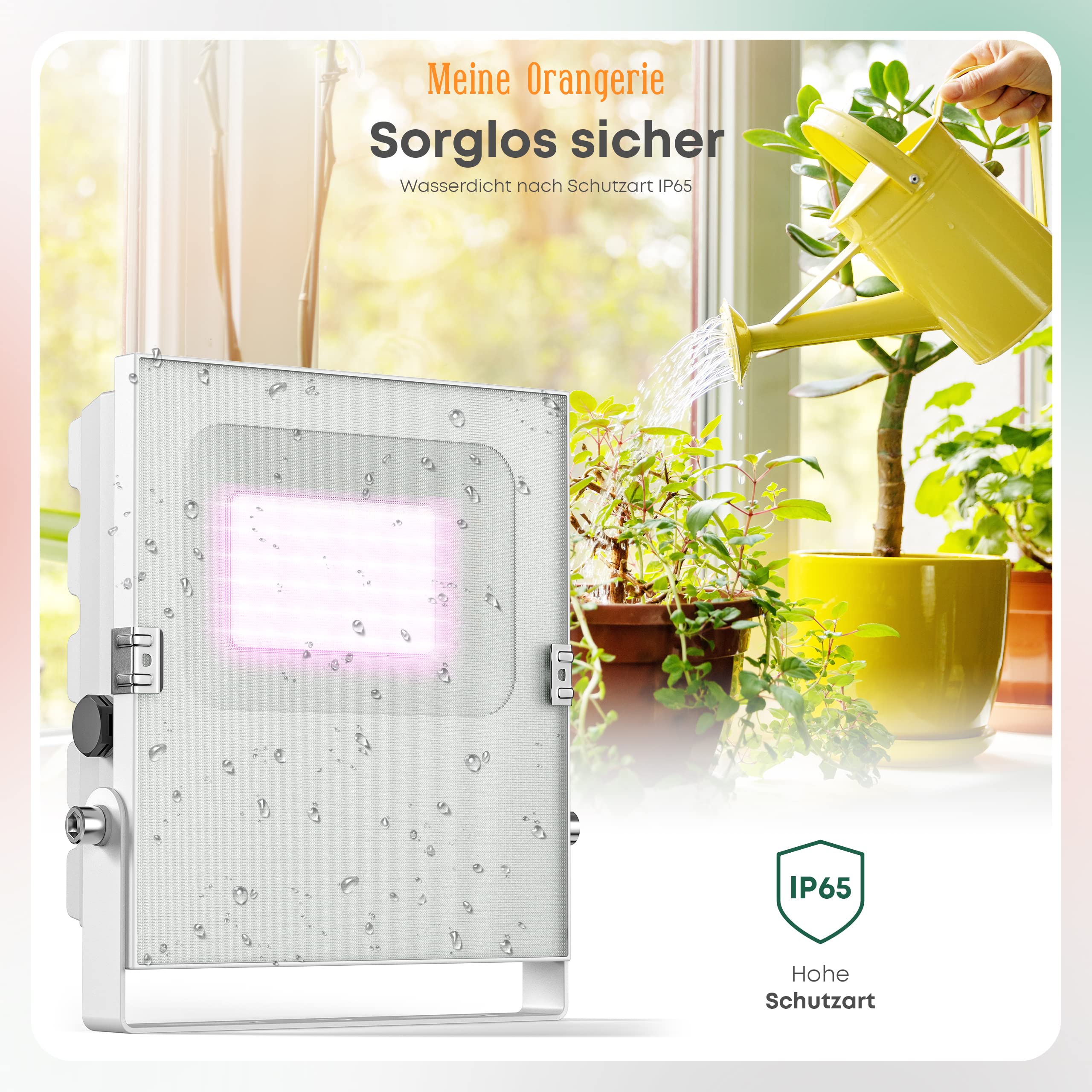 Meine Orangerie - Lampe LED pour l'hivernage des plantes méditerranéennes - Développée avec des experts en agrumes. Lumière à spectre complet pour plantes (50)
