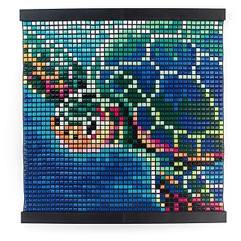 法螺貝　インテリア　2点セット 法螺貝（ほら貝）販売のお店