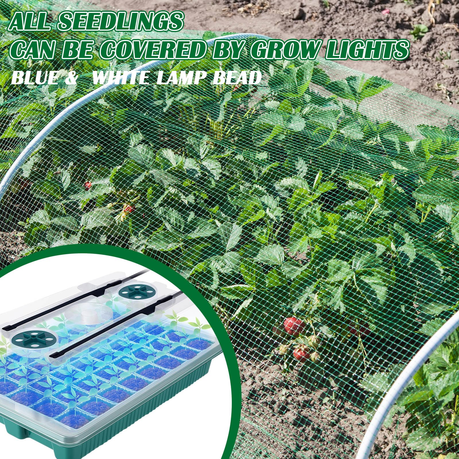 FillTouch Lot de 2 plateaux de démarrage de semences à 80 cellules avec 4 plateaux de démarrage de semis avec dôme d'humidité et 80 granulés de tourbe pour semis de jardin