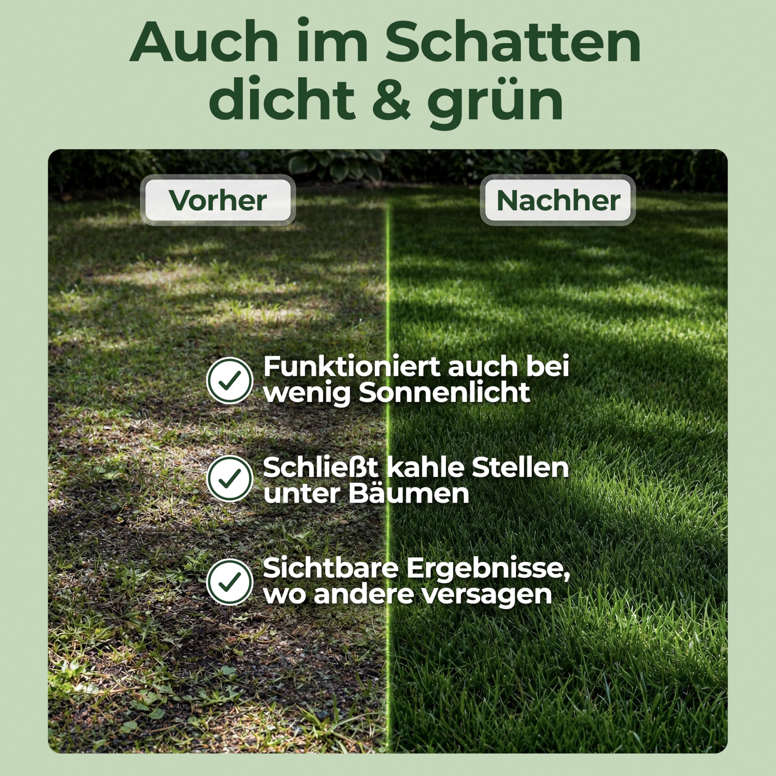 Schattenrasen Rasensamen 1 kg – Rasen für schattige Flächen & wenig Sonne – robuste Grasmischung für dichten Schattenrasen – ideal für Nachsaat & Neuanlage – für bis zu ca. 40 m² Rasenfläche