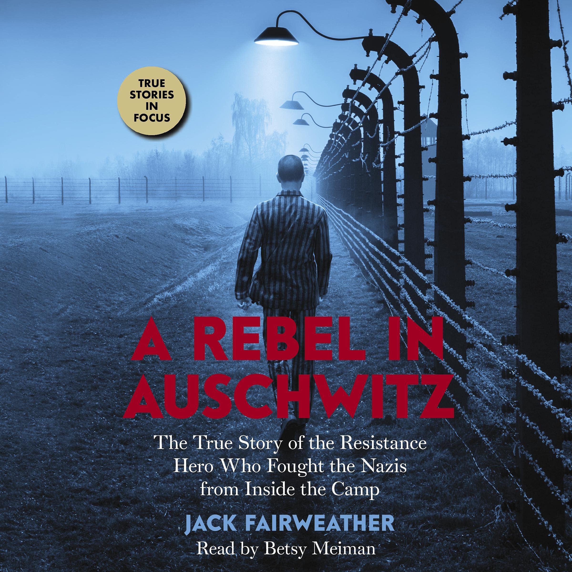 Cover art for A Rebel in Auschwitz