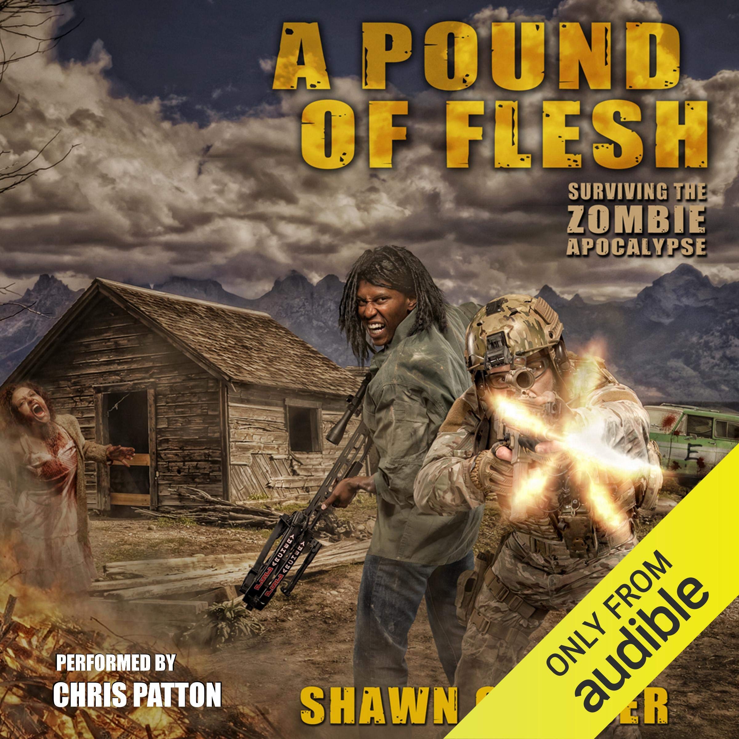 Cover art for A Pound of Flesh
