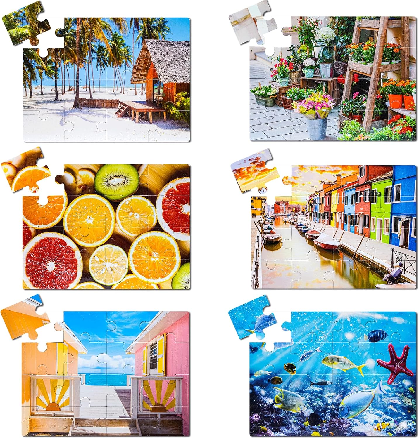 6 Pack 16 Large Piece Jigsaw Puzzles for Seniors, Dementia