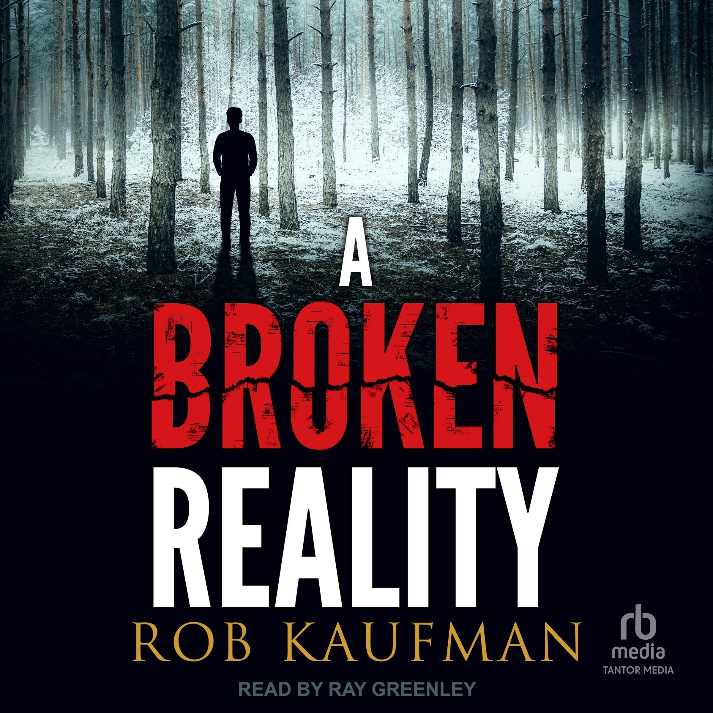 Cover art for A Broken Reality