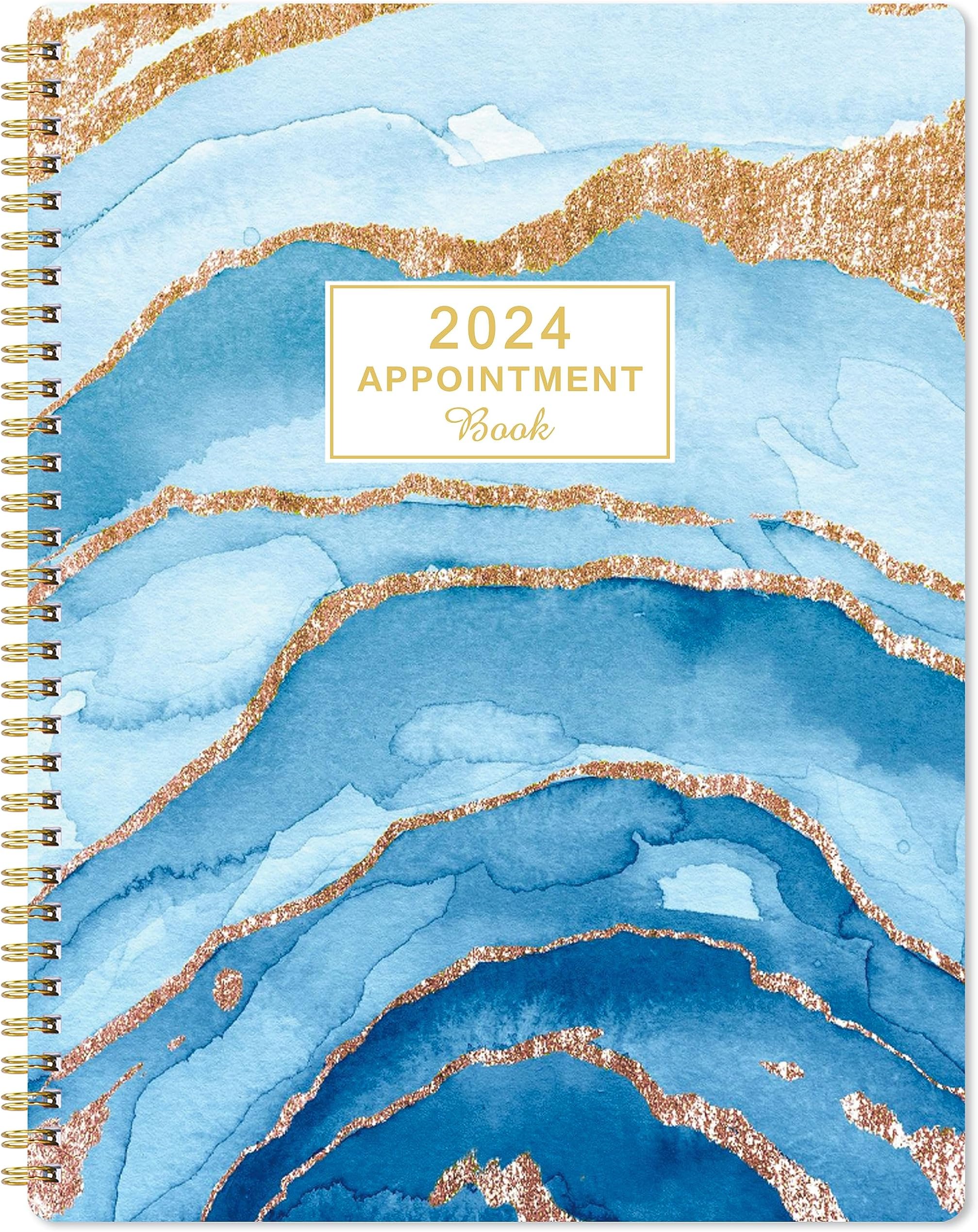 Weekly Appointment Book 2024 - Appointment Book 2024, 2024 Daily Hourly Planner with Twin-wire Binding, 8" x 10", January 2024 - December 2024, 30-Minute Interval, Flexible