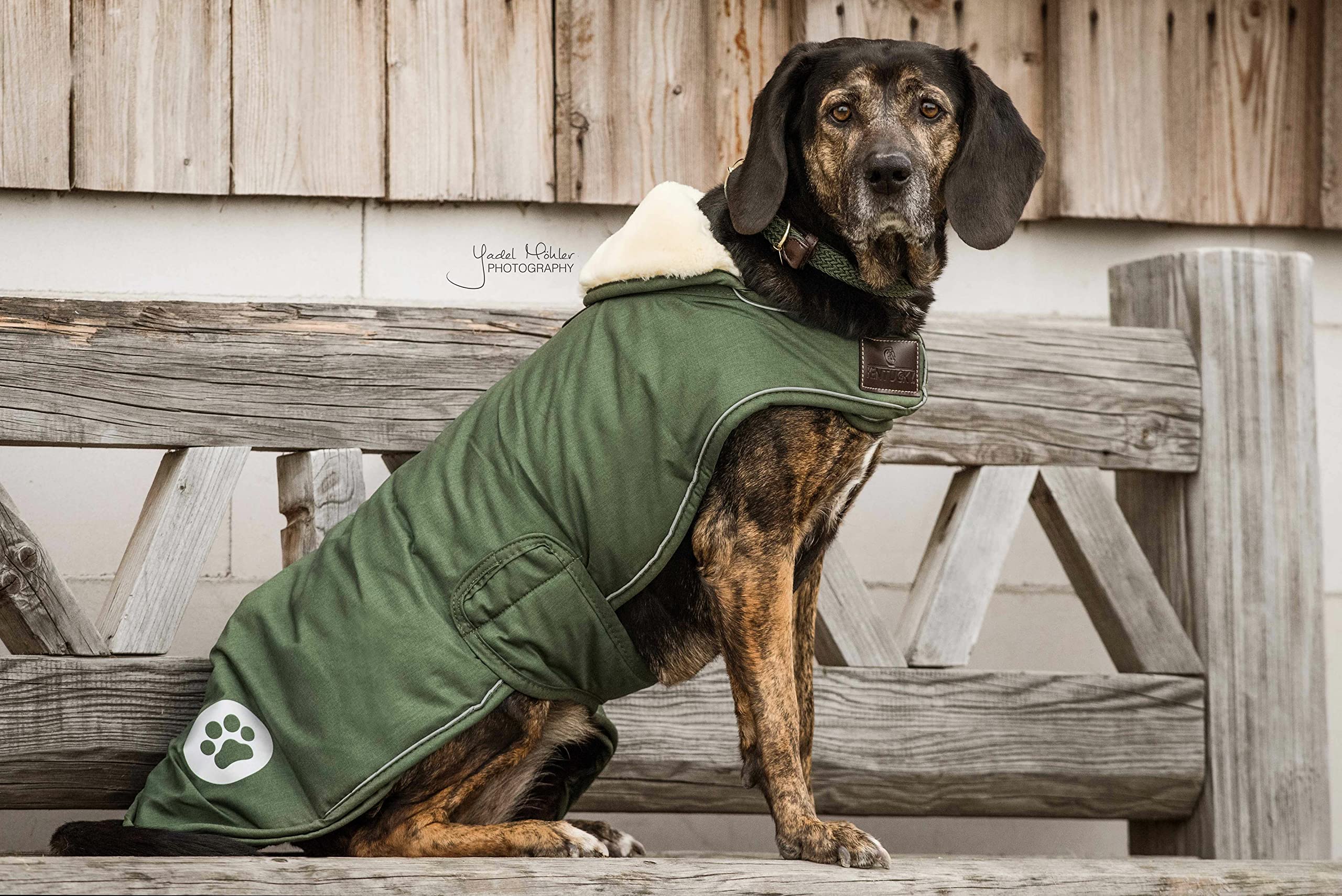 Kentucky - Abrigo para perros impermeable verde oliva salchicha 40 cm