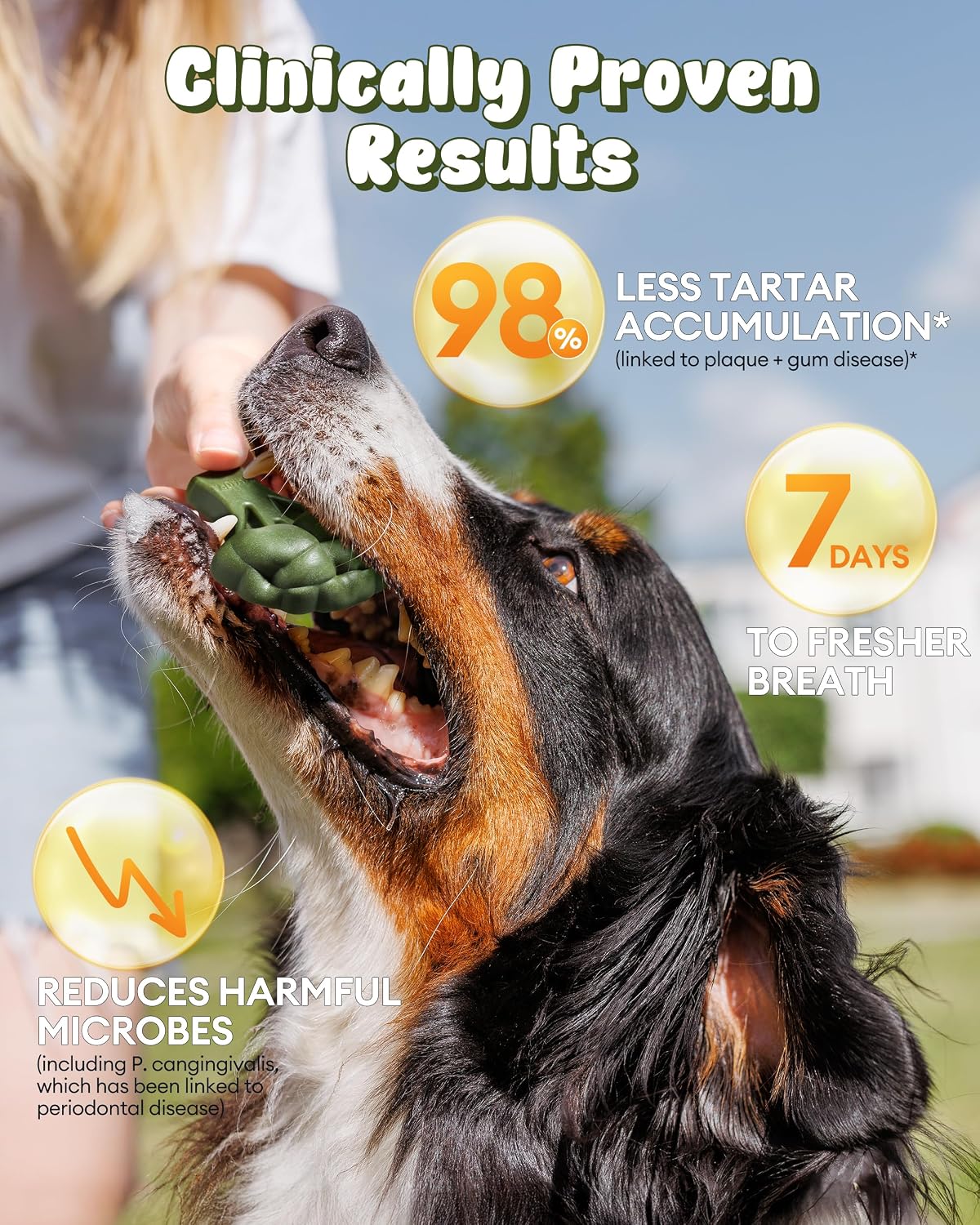 Pawaura 33-Count Dog Dental Chews for Fresh Breath — view 6