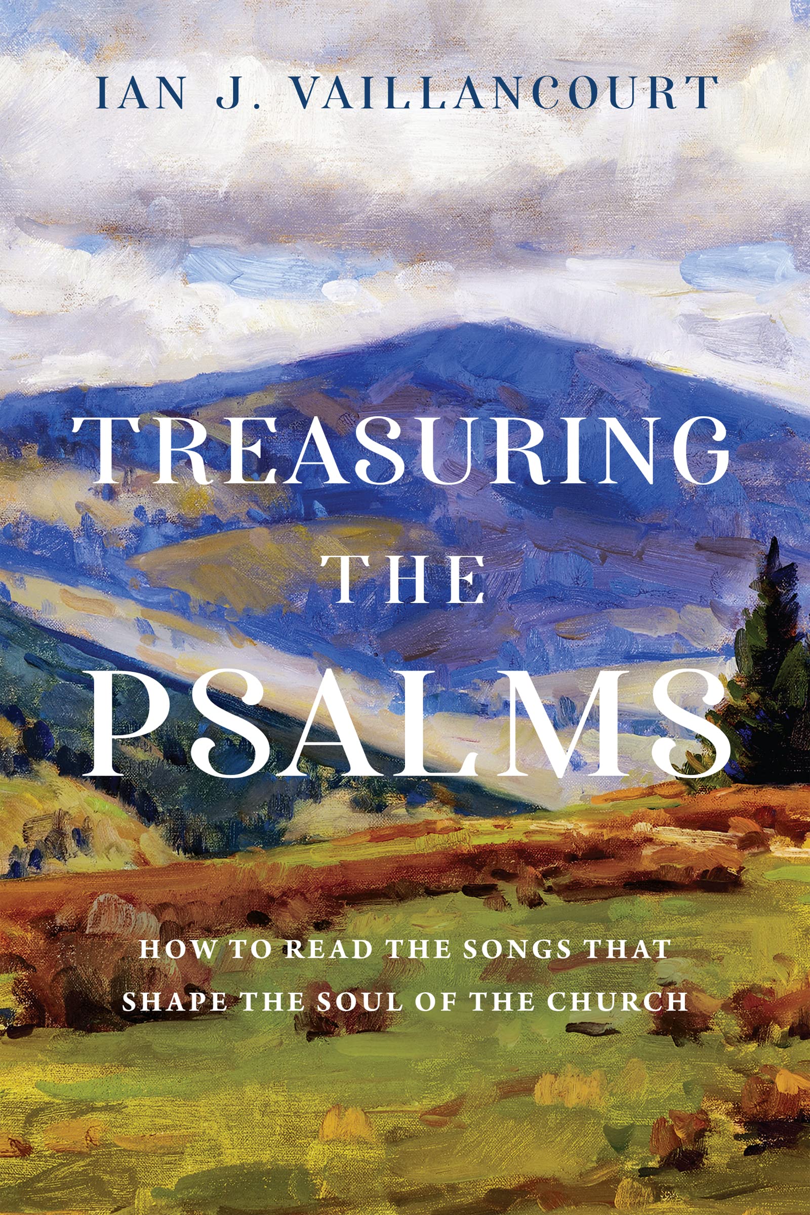 Treasuring the Psalms by Ian James Vaillancourt, Ian J. Vaill... - 9781514005101