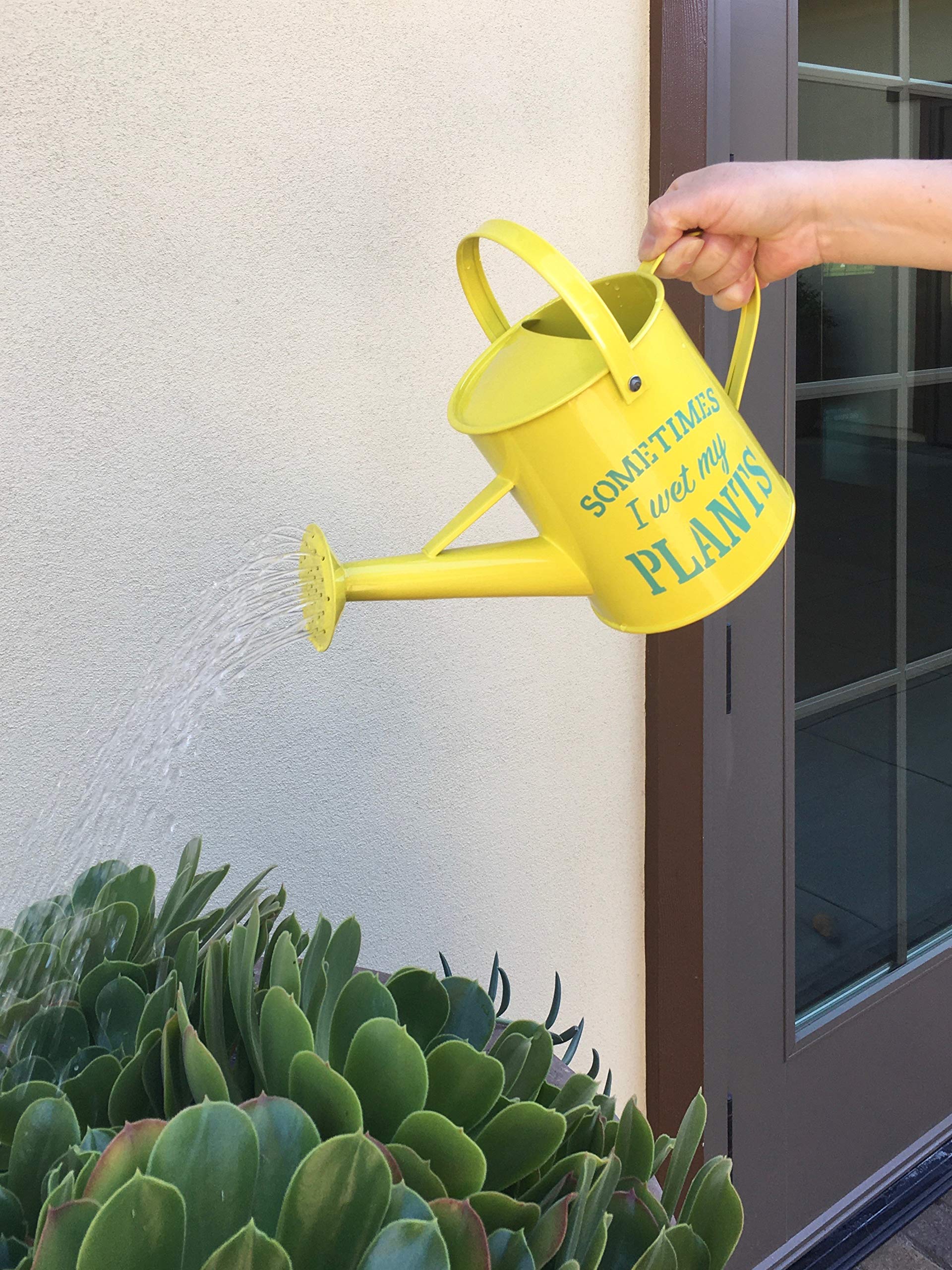 Laila & Lainey Gießkanne für den Innenbereich, klein, für Einweihung, Gartenarbeit, Geschenk für Frauen, Dekor: Wet My Plants Zitat – 1,6 l – ideal für Ihren besten Freund – gelb verzinktes Metall