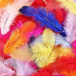 Colorful Craft Rooster Feathers 300pcs 3-5inch Colored Bulk Feathers Nat...