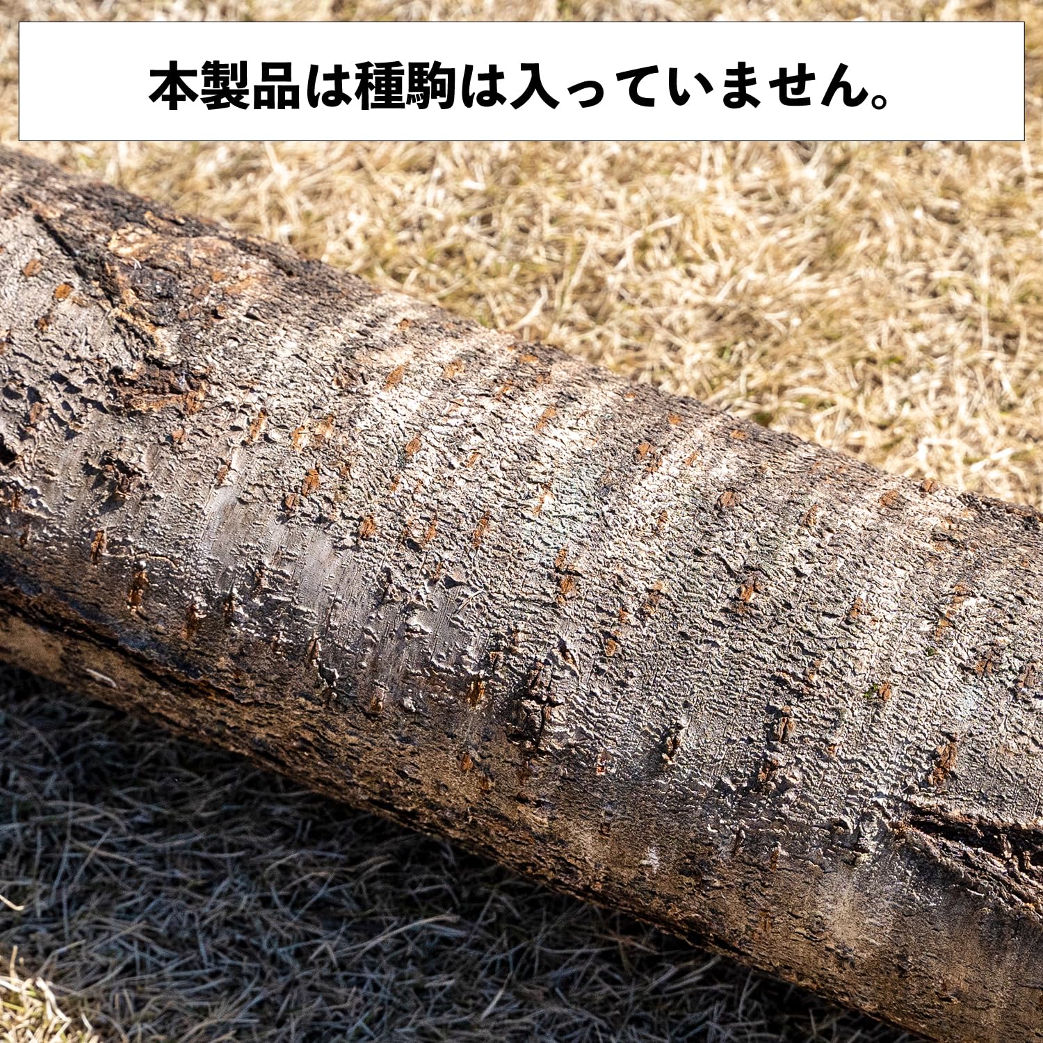 Amazon.co.jp: さくら原木 きのこ栽培用 桜の木 サクラ 種駒別売り