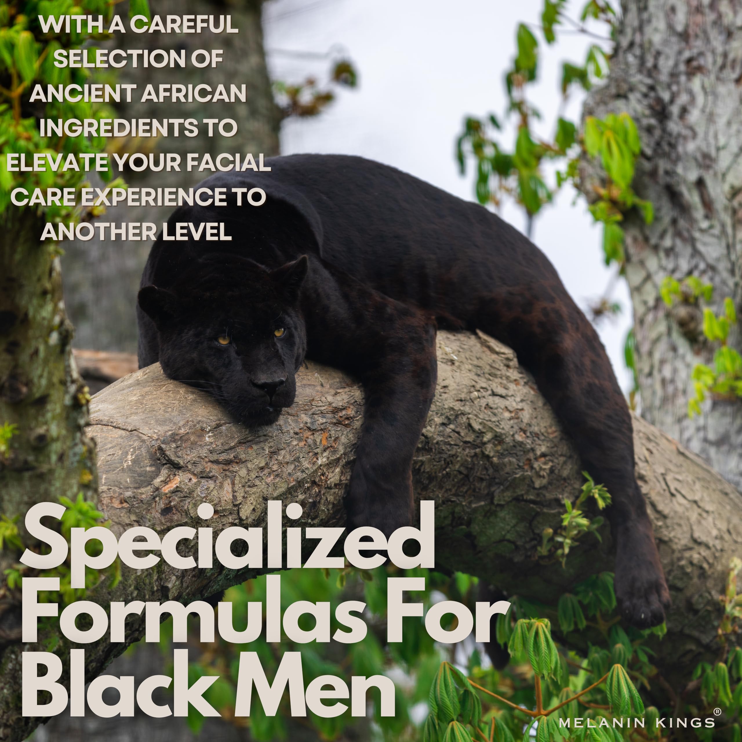 Melanin Kings Beard Grooming Kit for Men - Formulas With Ancient African Natural Ingredients | Beard Wash, Oil, Balm, Brush, Comb, Trimming Scissors