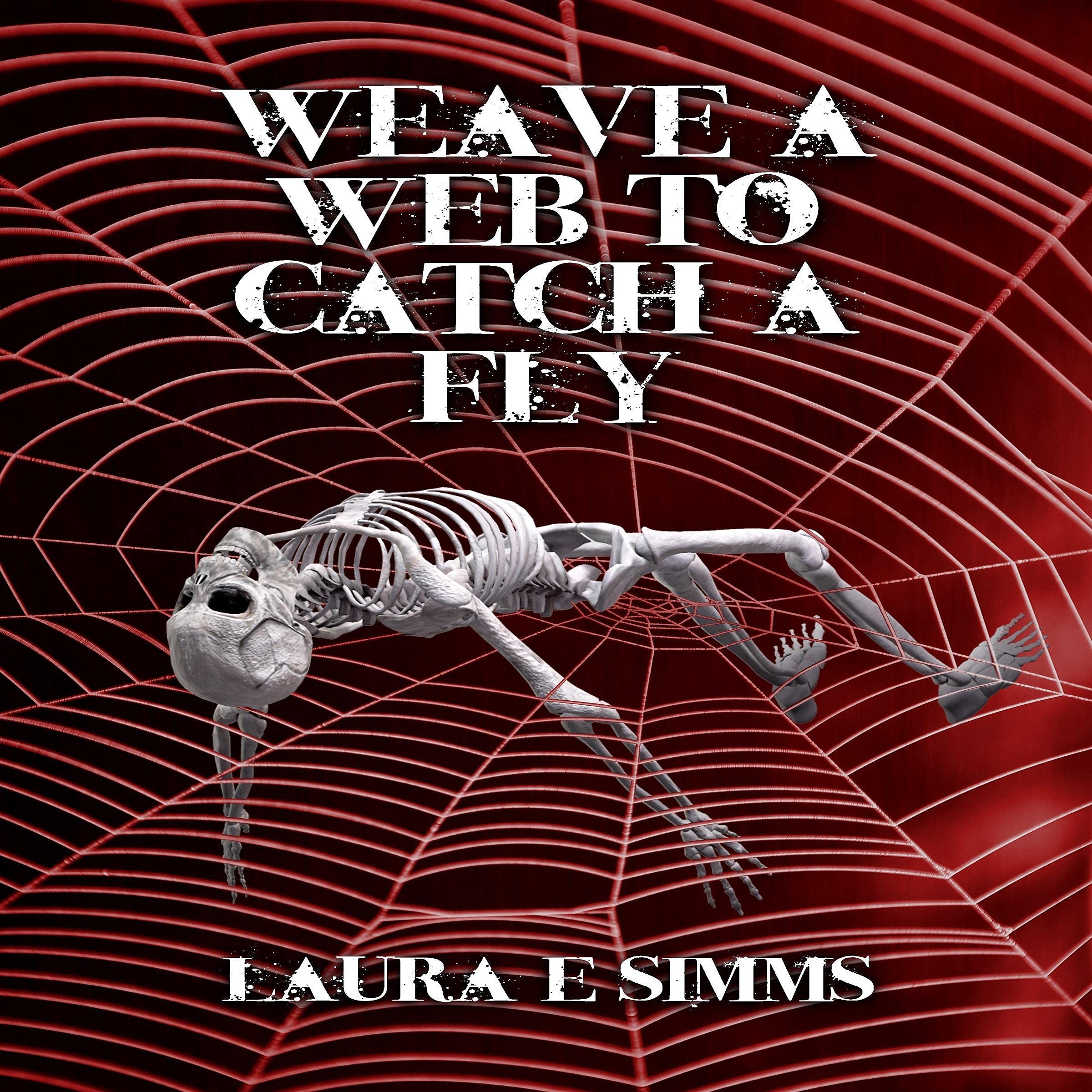 Cover art for Weave a Web to Catch a Fly